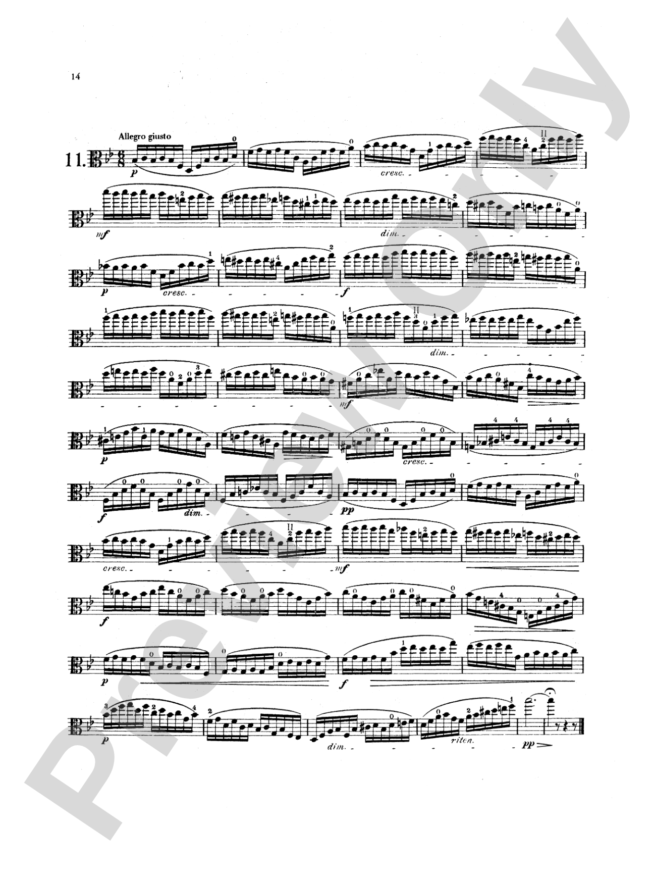 Palaschko: Twelve Studies, Op. 55