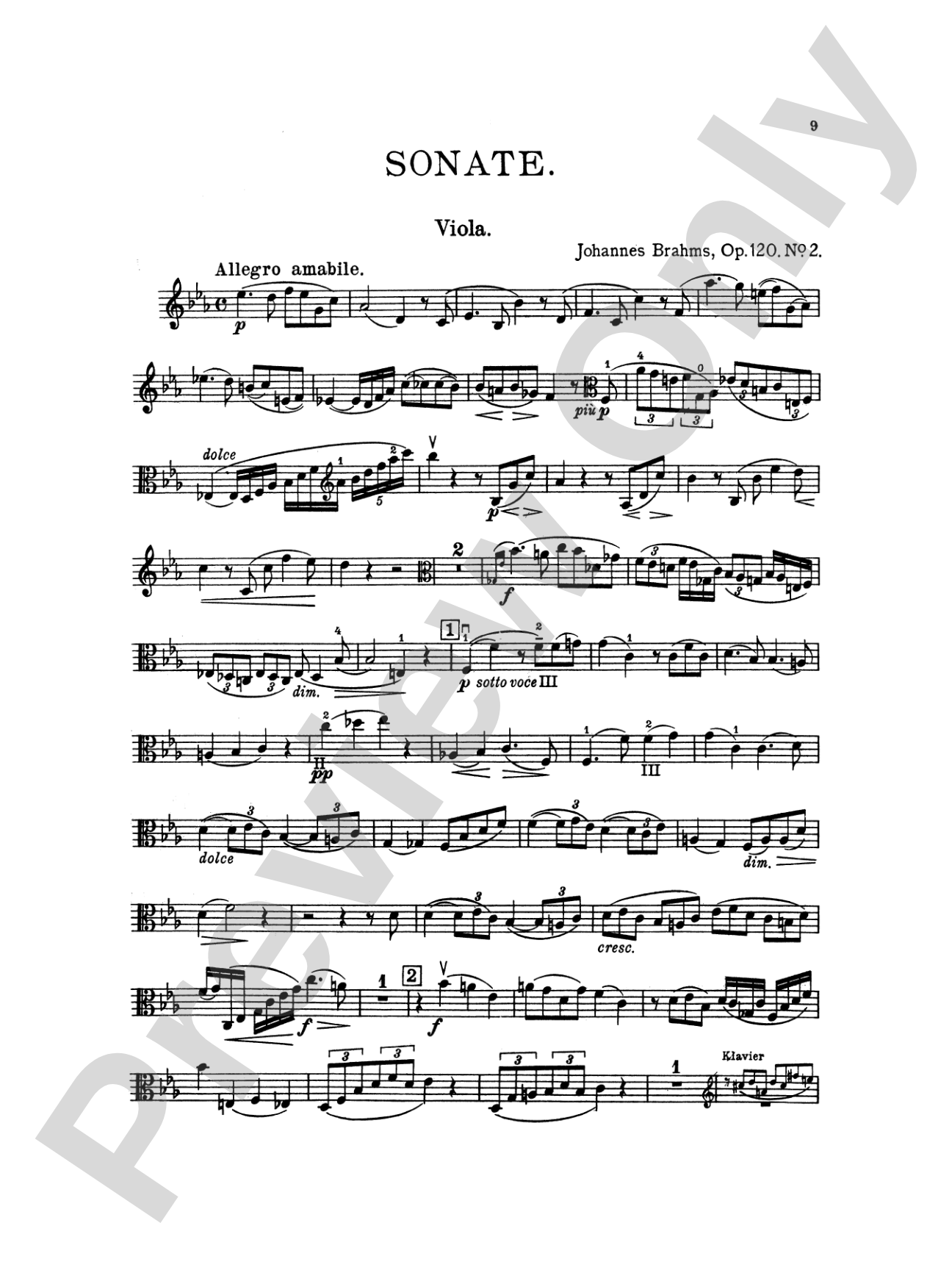 Brahms: Two Sonatas, Op. 120