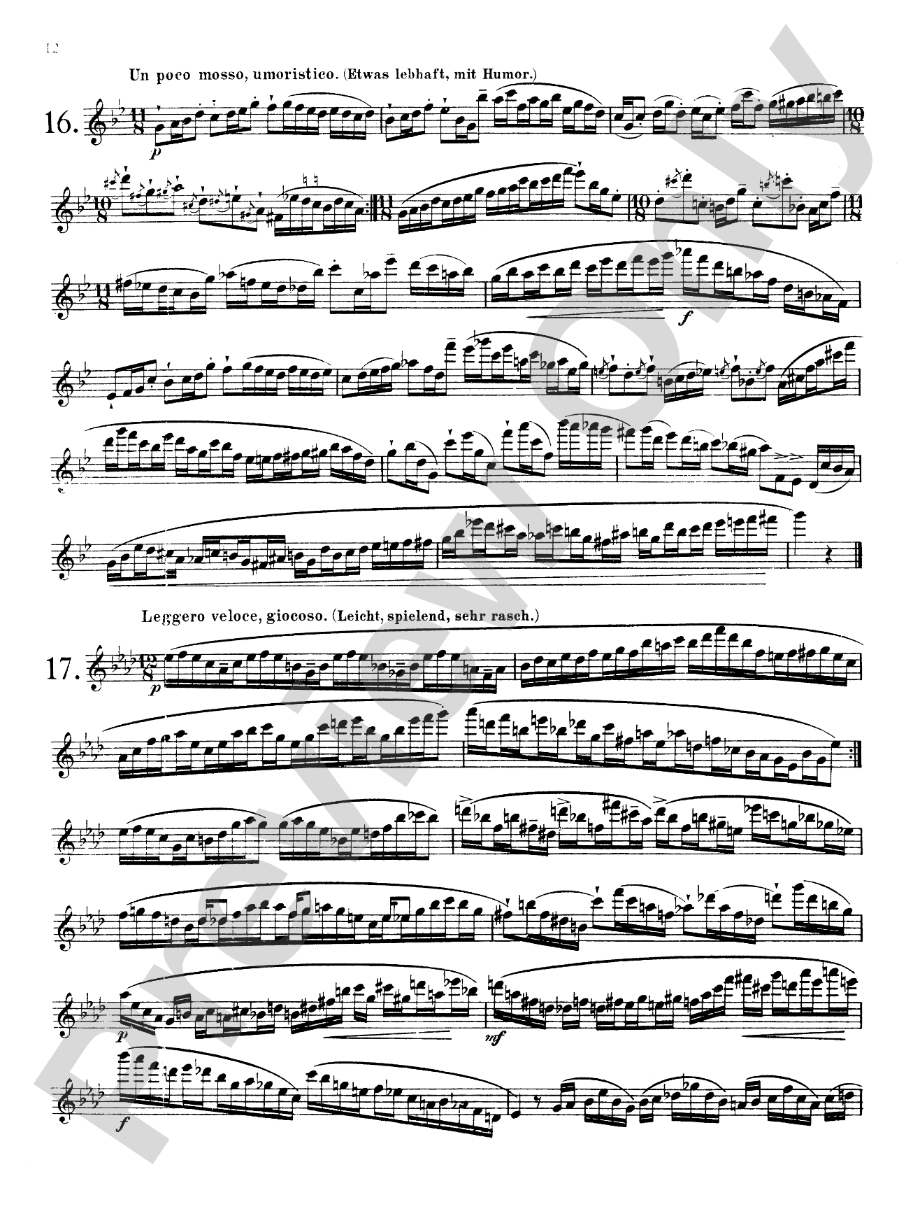 Karg-Elert: Thirty Studies, Op. 107: Flute Book