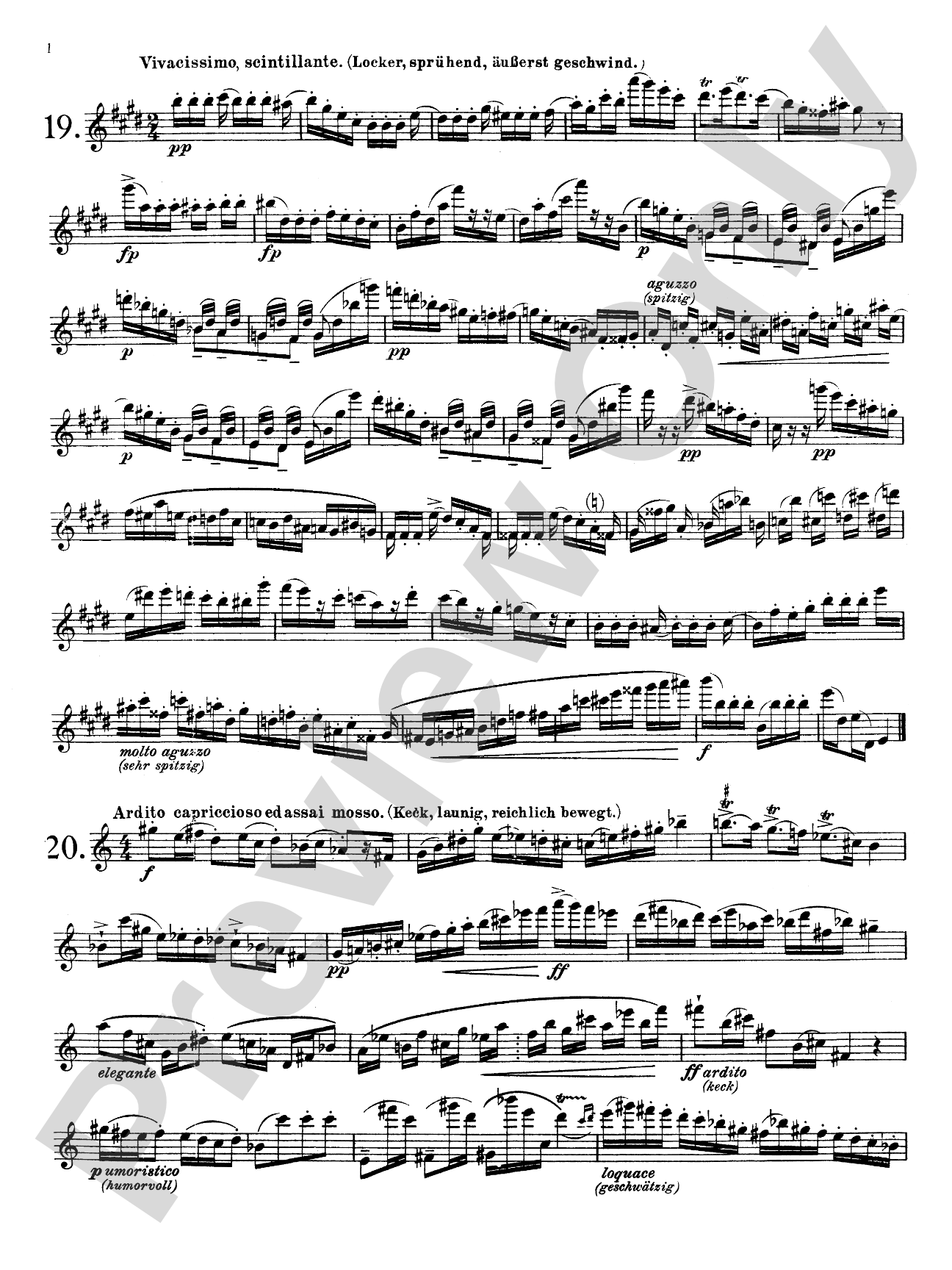 Karg-Elert: Thirty Studies, Op. 107: Flute Book