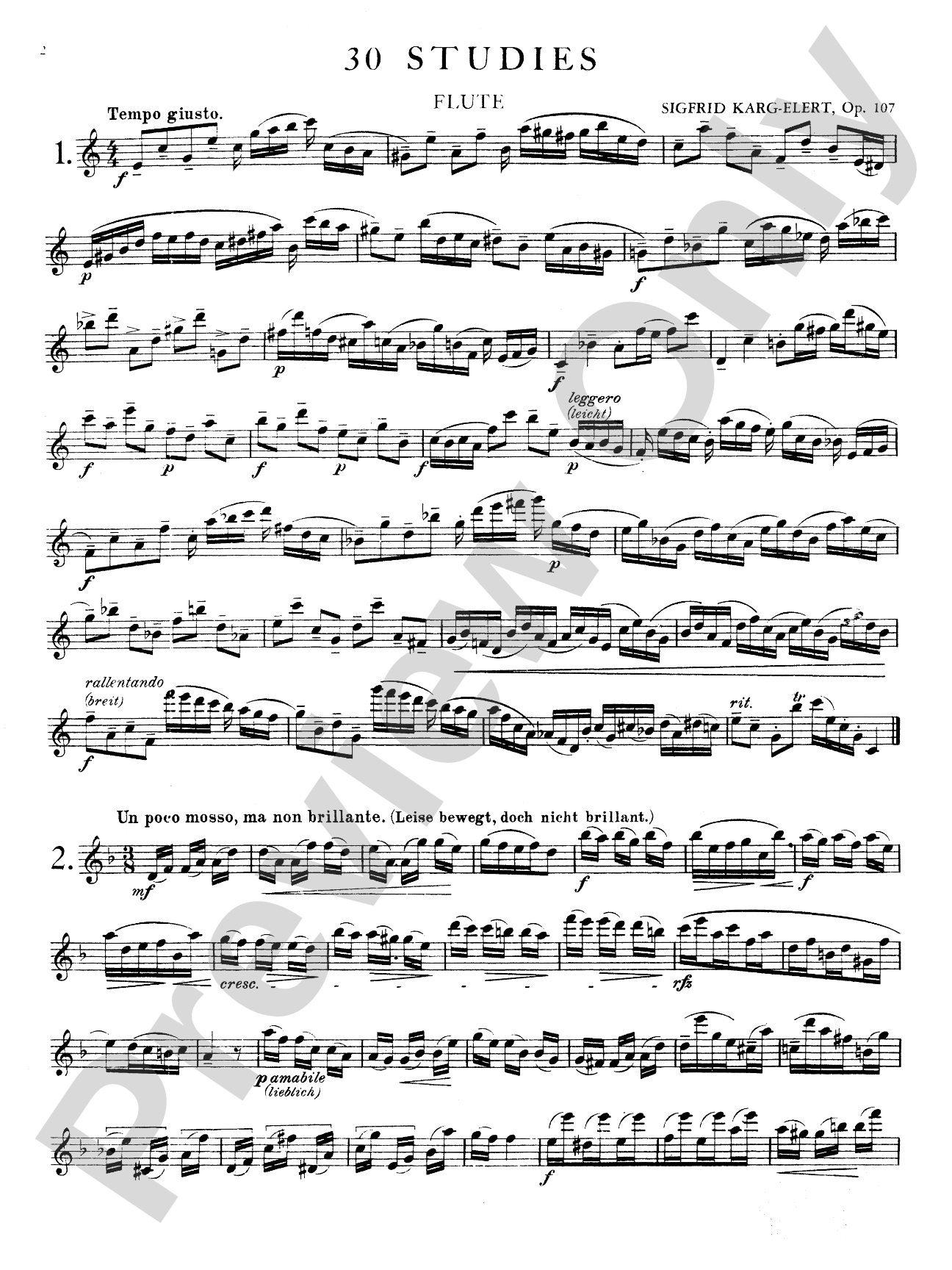 Karg-Elert: Thirty Studies, Op. 107: Flute Book