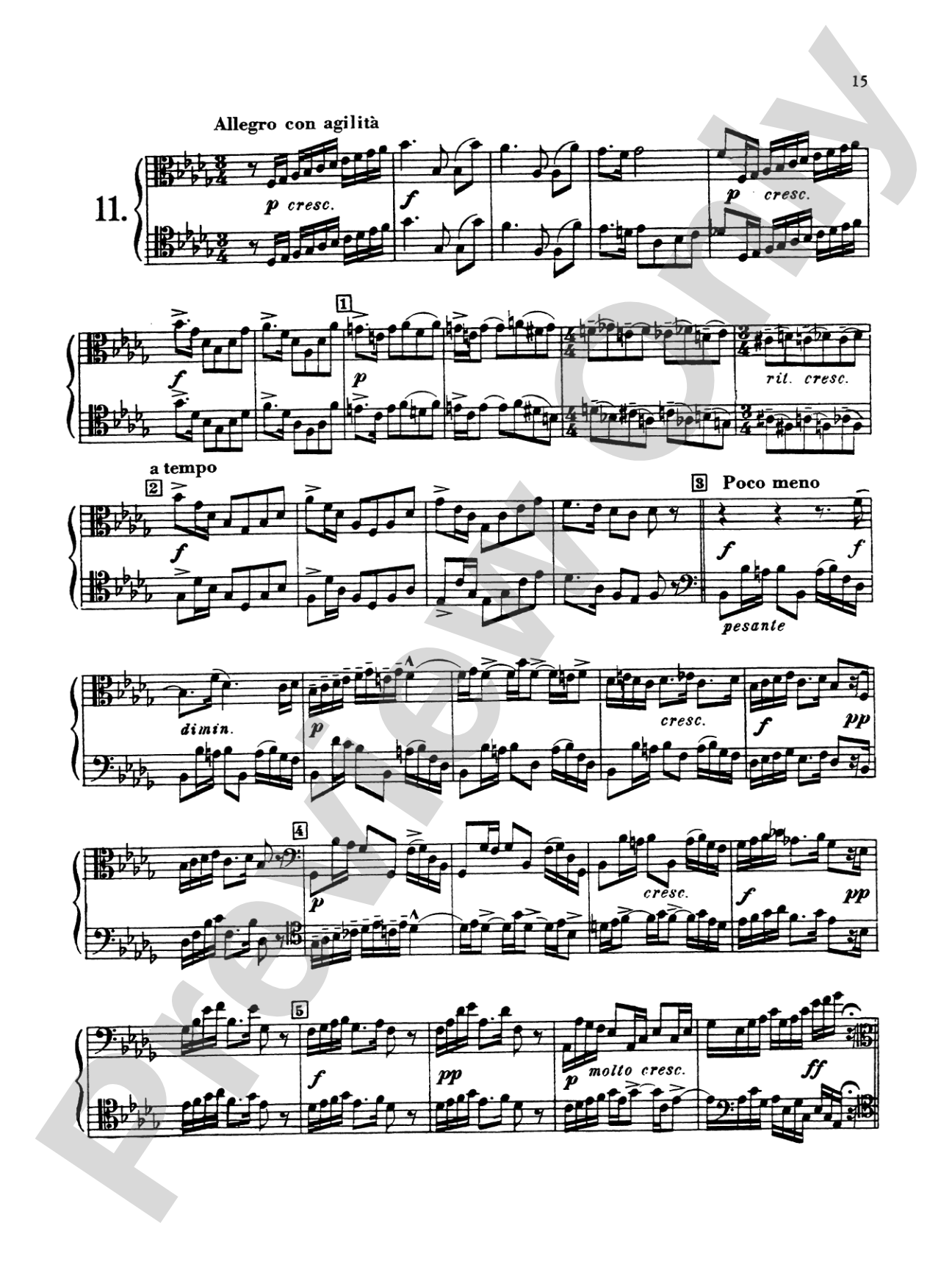 Blazhevich: Concert Duets