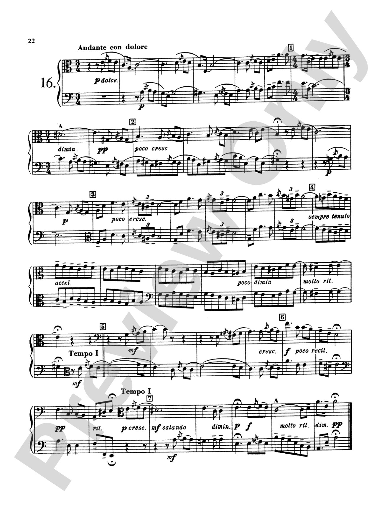 Blazhevich: Concert Duets