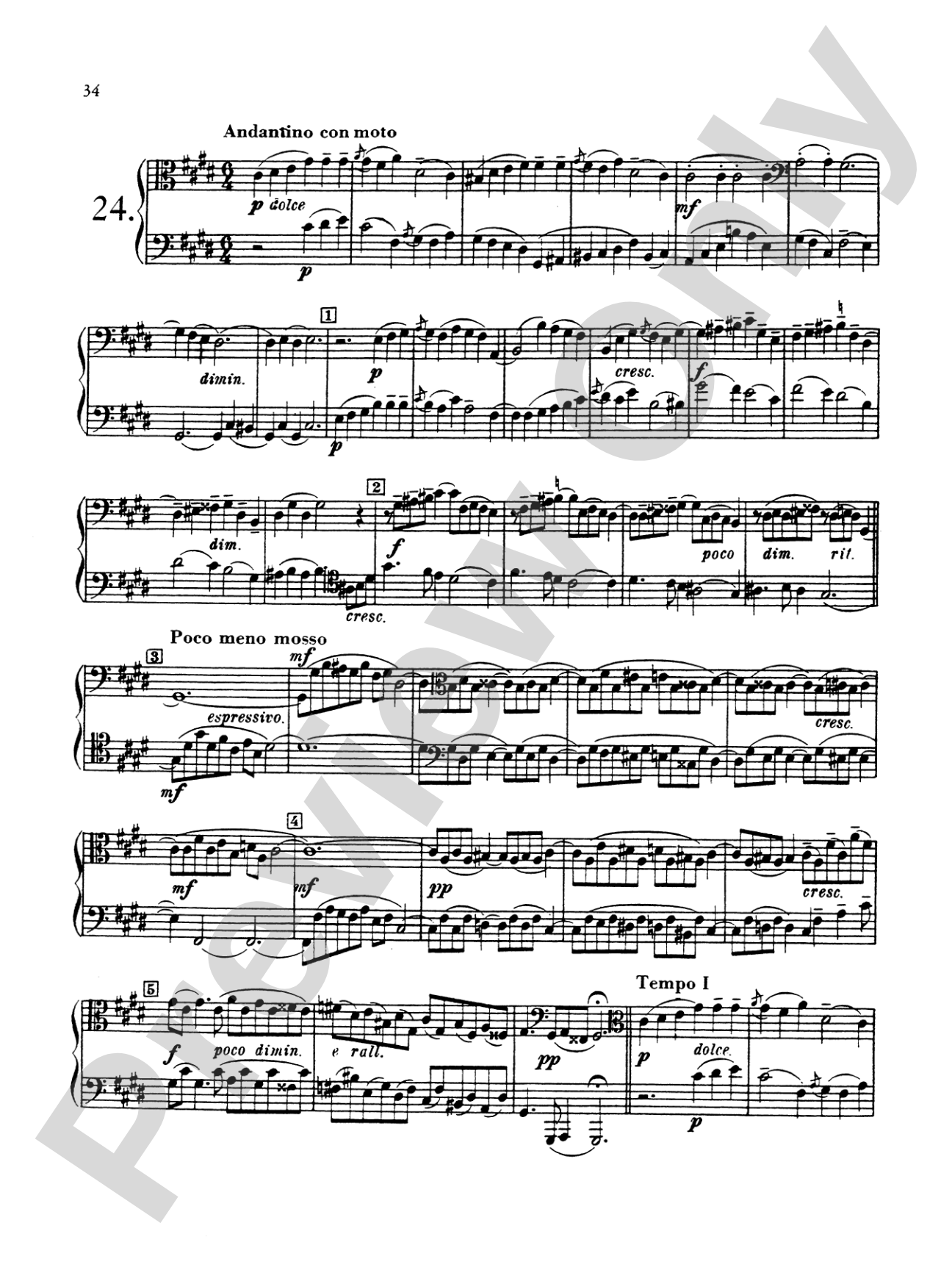 Blazhevich: Concert Duets
