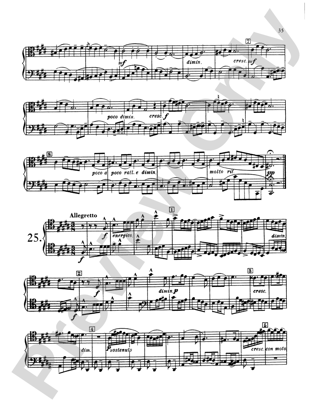 Blazhevich: Concert Duets