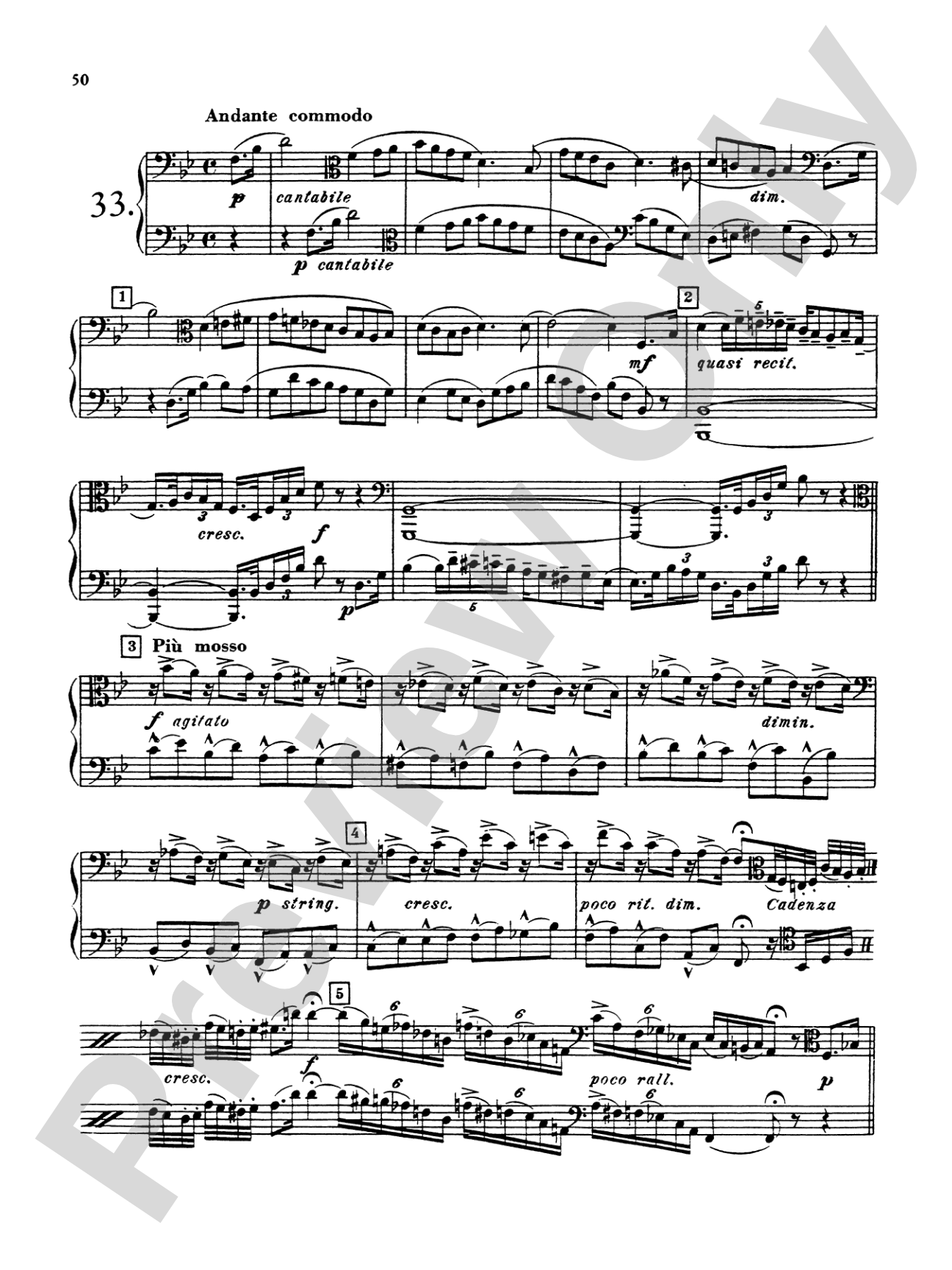 Blazhevich: Concert Duets