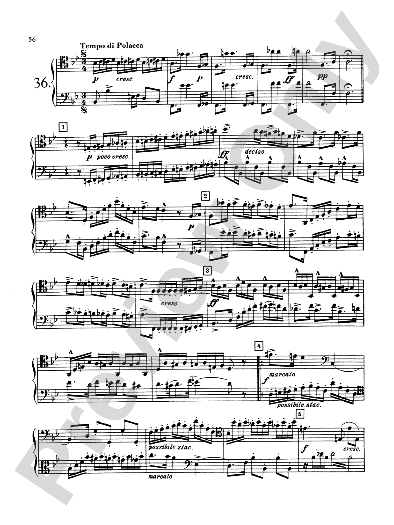 Blazhevich: Concert Duets