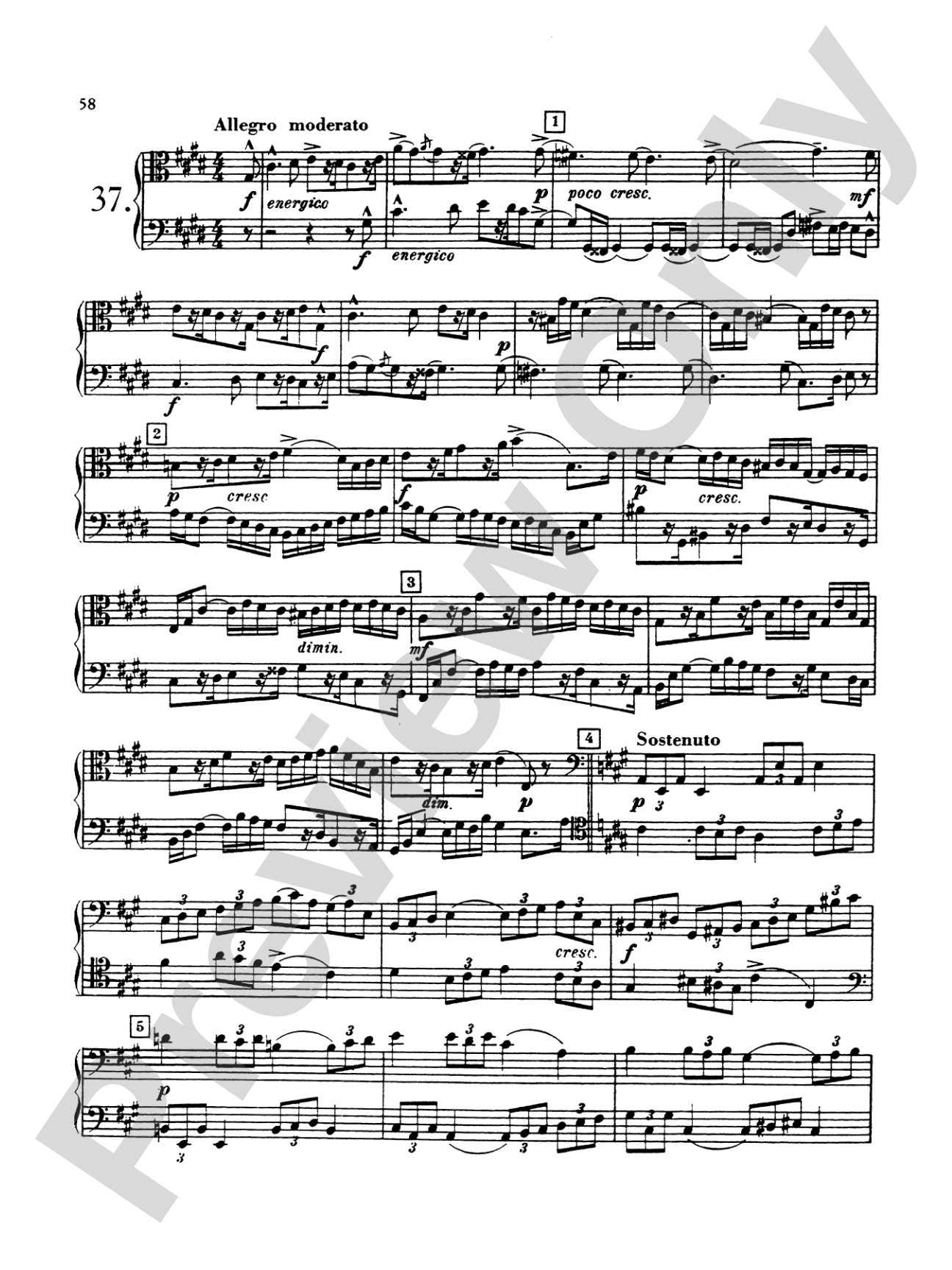 Blazhevich: Concert Duets
