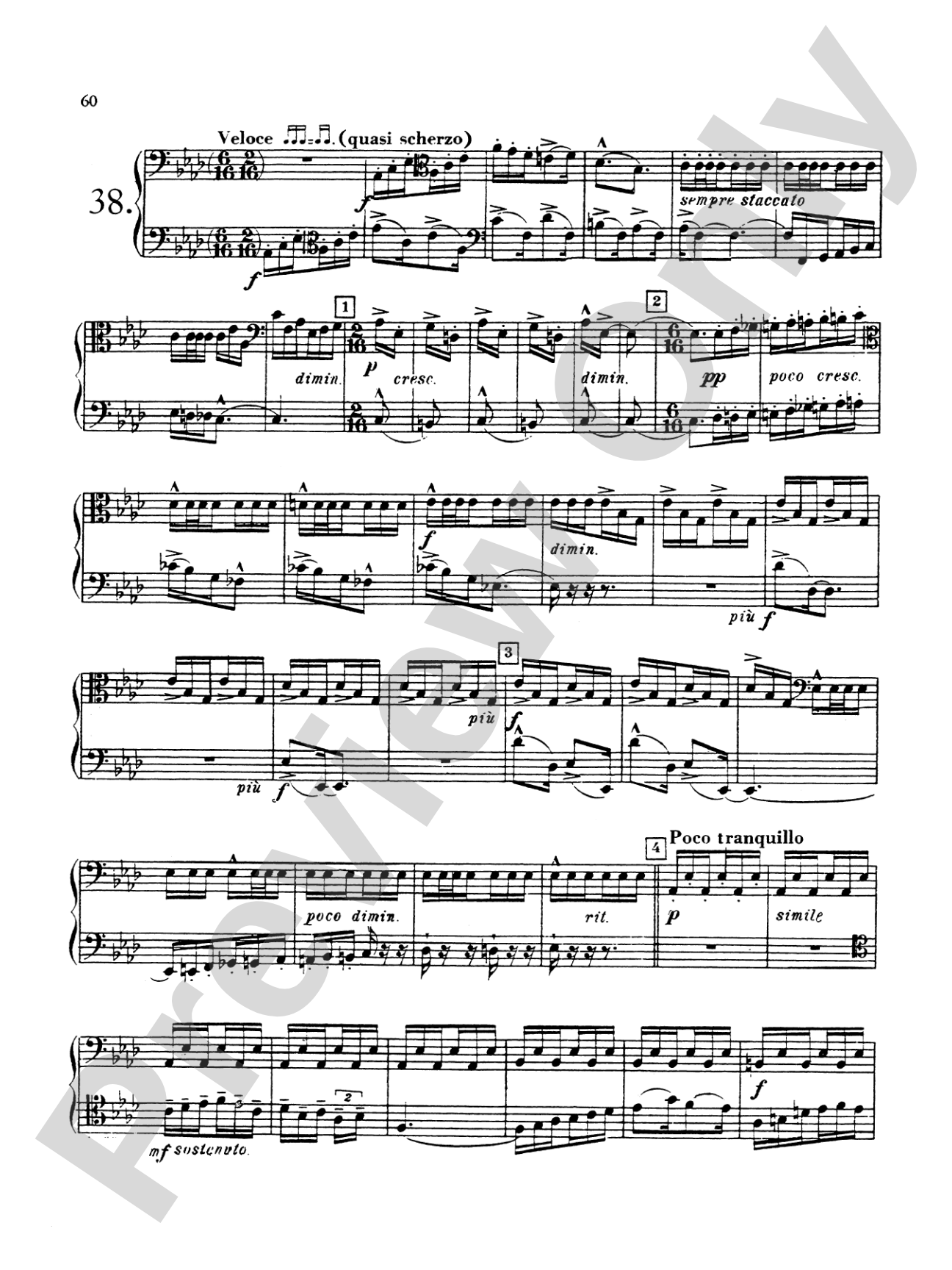 Blazhevich: Concert Duets