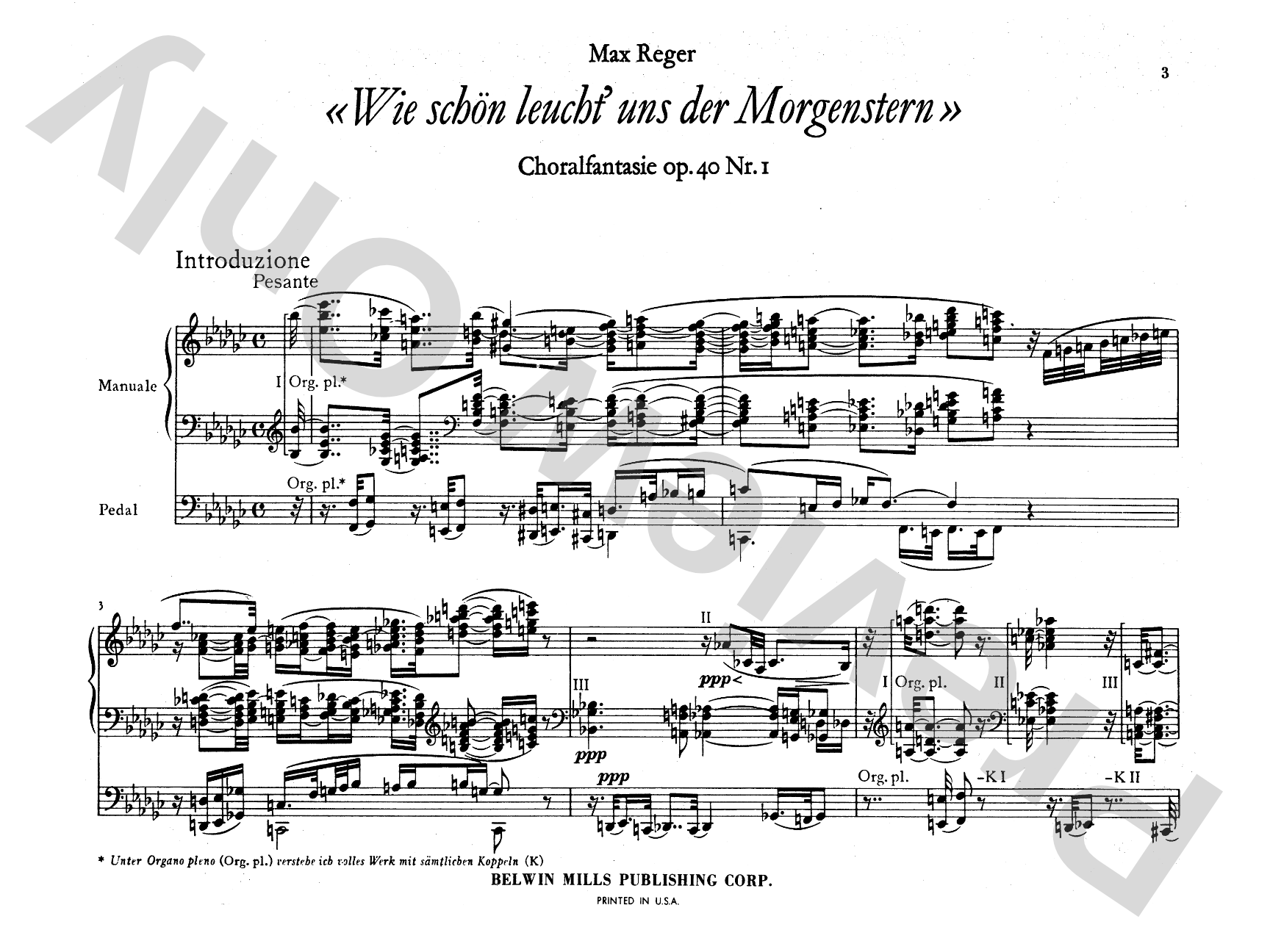 Reger: Chorale Fantasy on "Wie Sch'n Leucht Uns der Morgenstern," Op. 40, No. 1