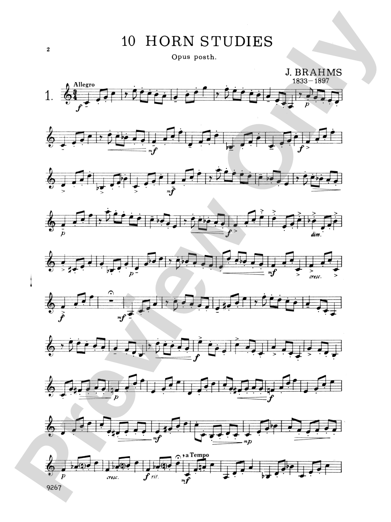 Brahms: Ten Horn Studies, Op. posth: French Horn Book