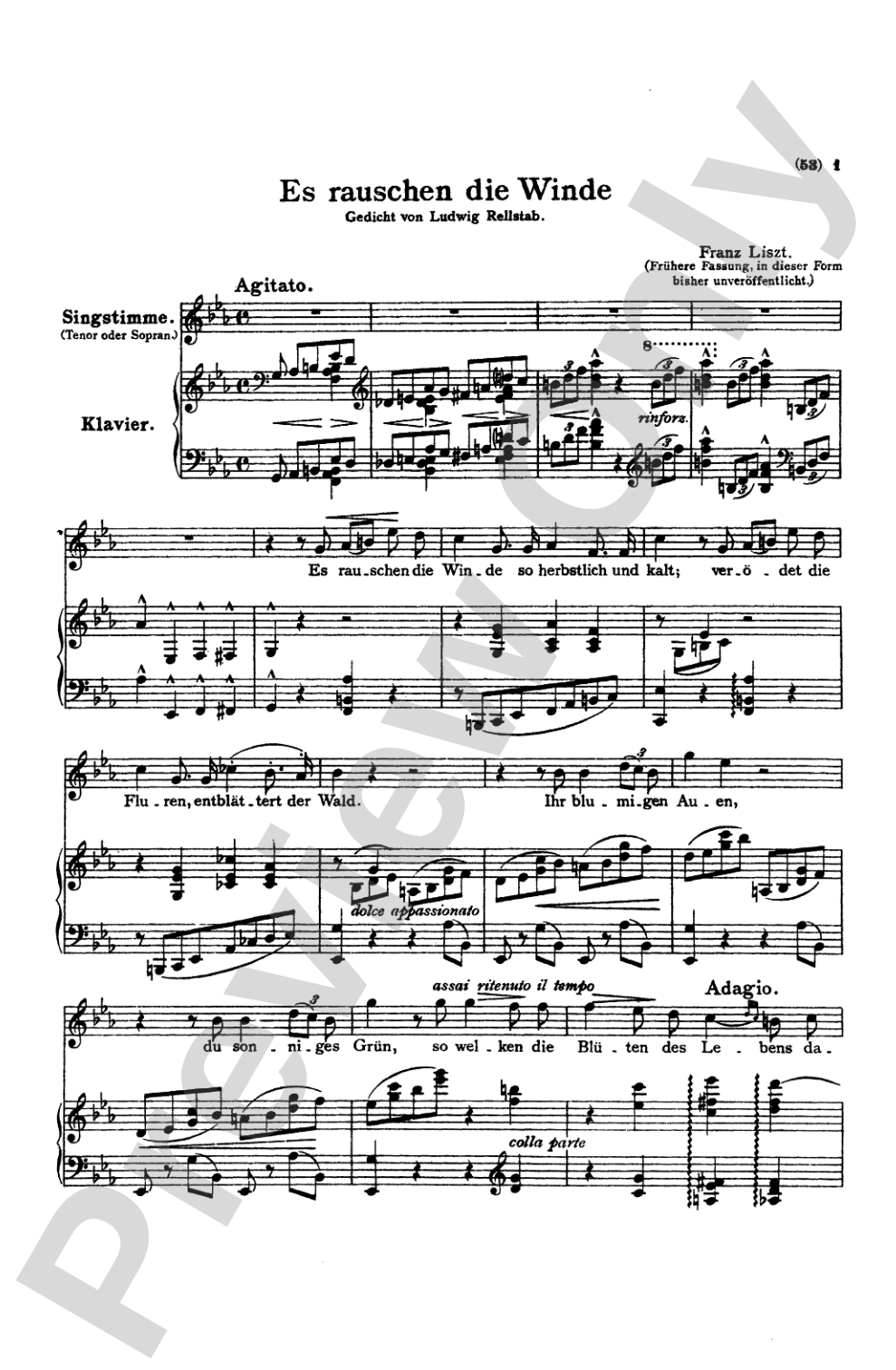 Liszt: Songs, Volume III, Nos. 1-22 (German)