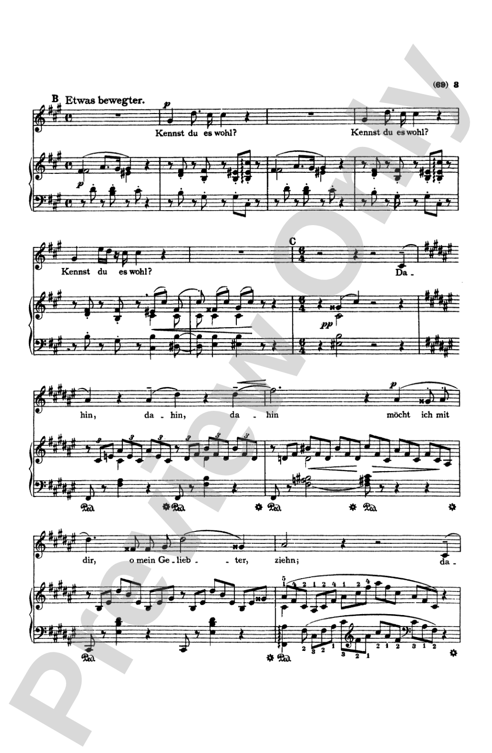 Liszt: Songs, Volume III, Nos. 1-22 (German)
