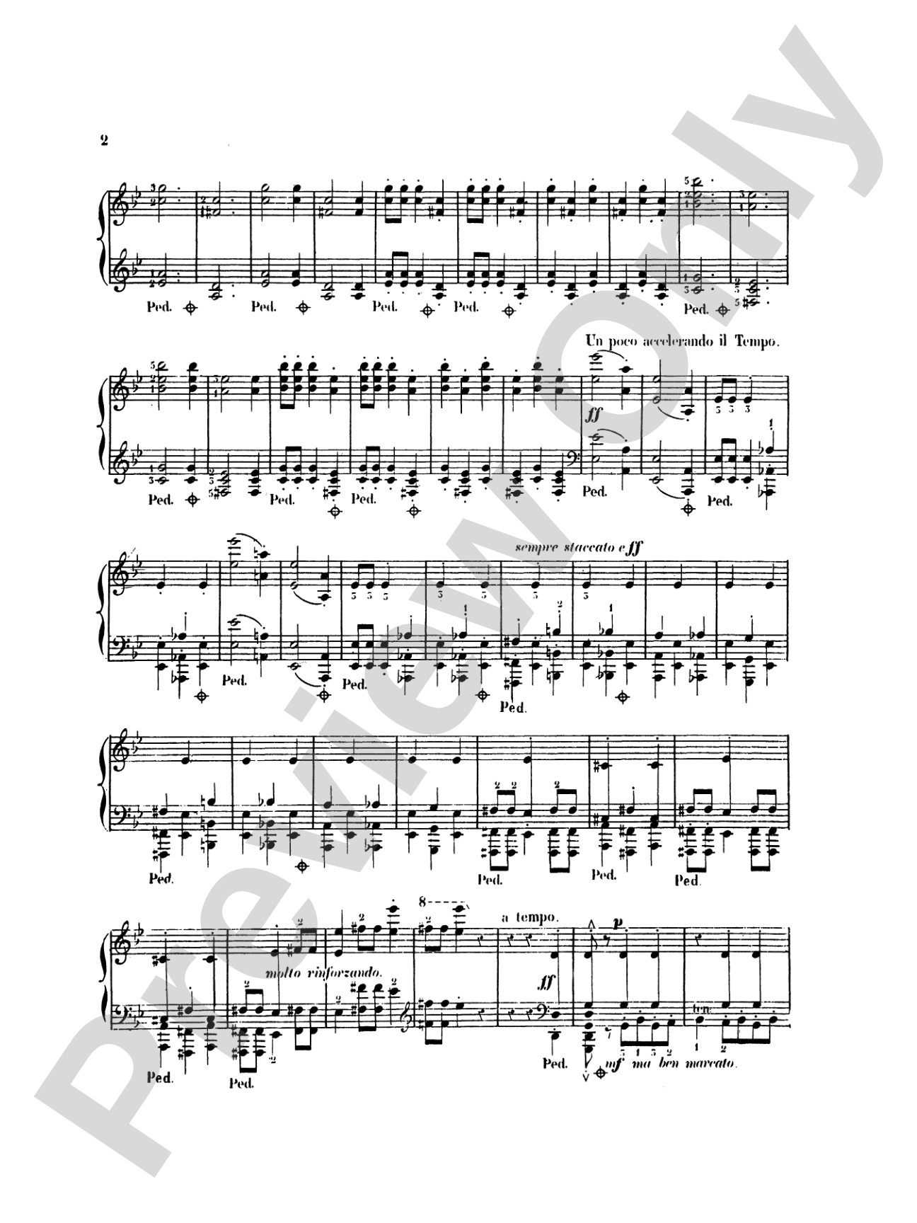 Saint-Saëns: Danse Macabre (Transcr. Franz Liszt): Piano