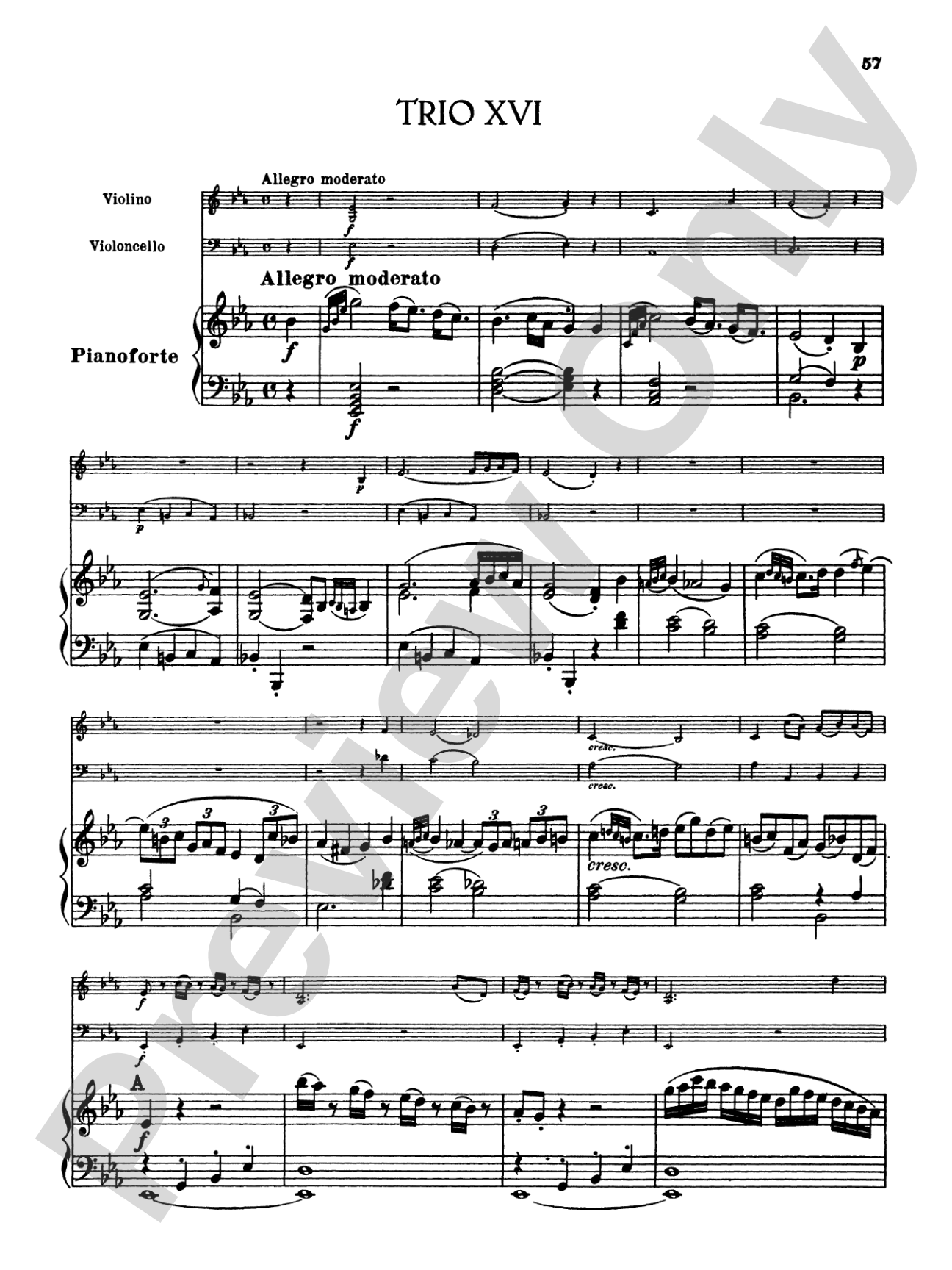 Haydn: Piano Trios, Volume III (Nos. 13-17)