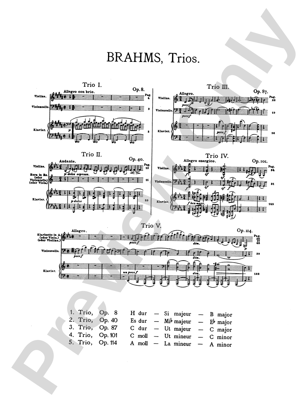 Brahms: Trio No. 1 in B Major, Op. 8