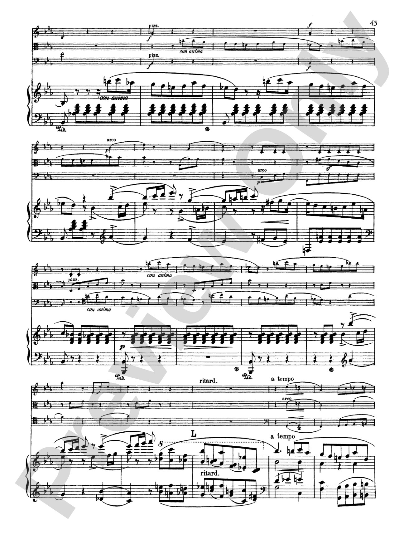 Schumann: Quartet in E flat Major, Op. 47: Chamber Quartet