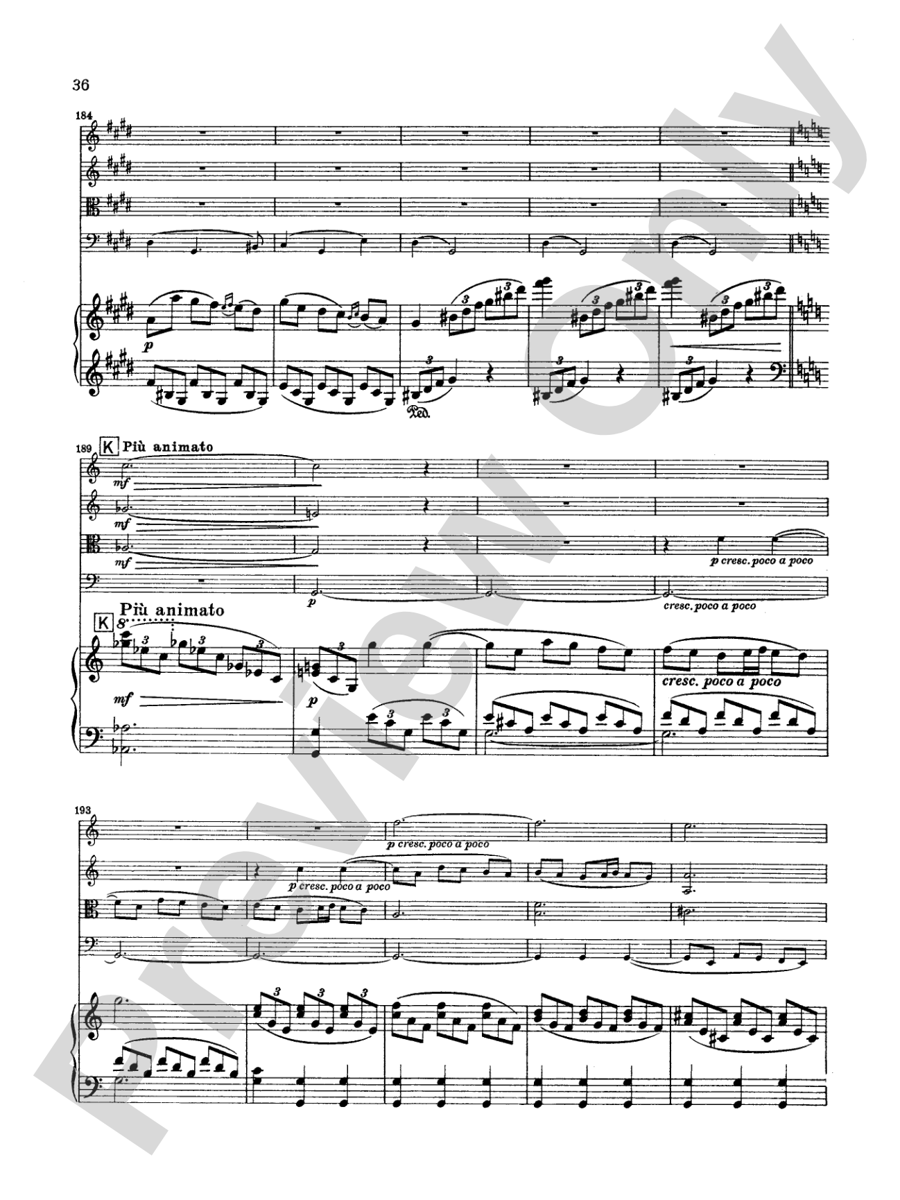 Borodin: Quintet in C Minor: String Quintet Book
