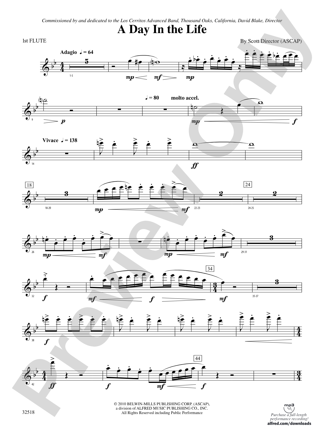 A Day in the Life: Flute