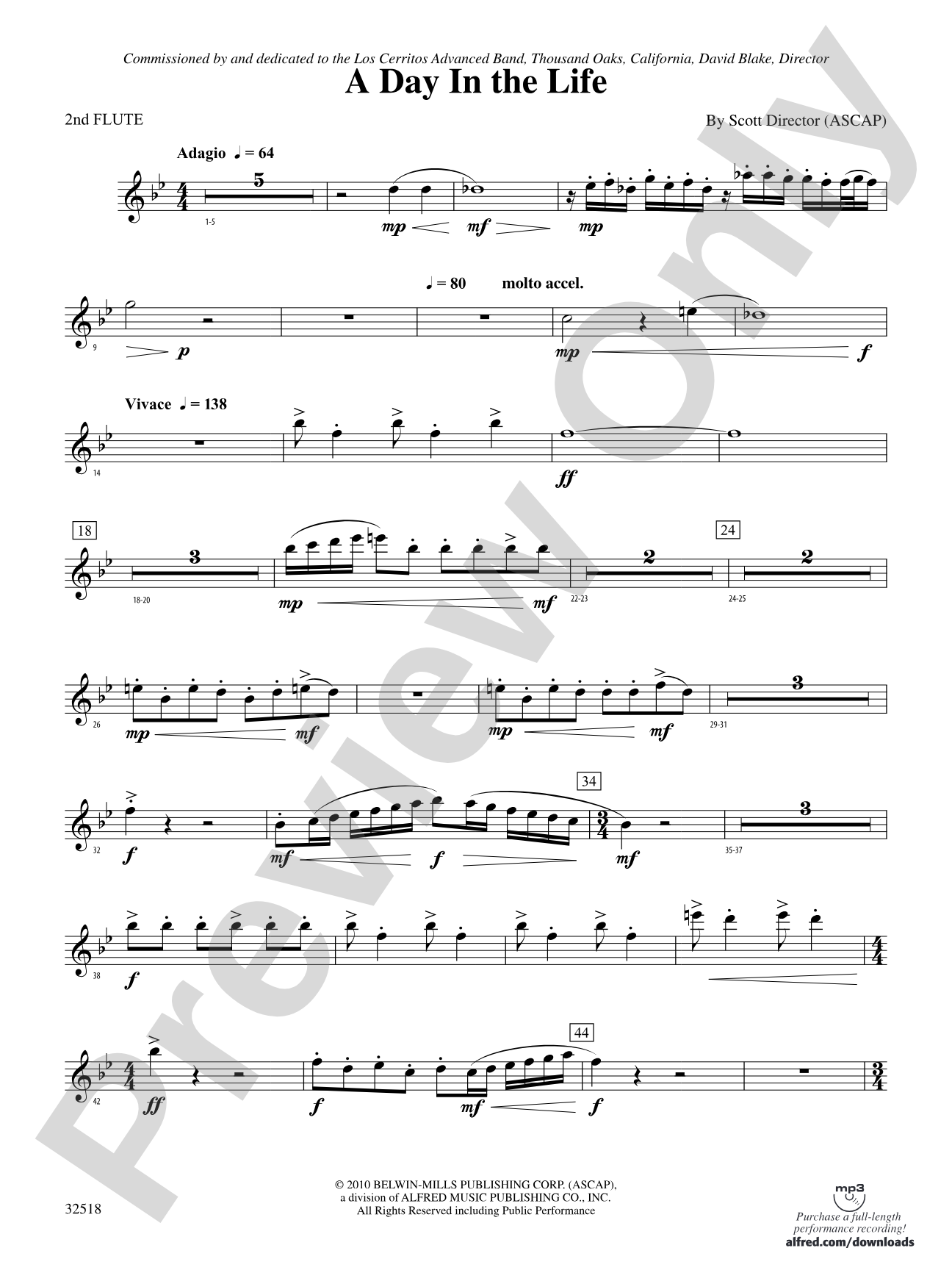 A Day in the Life: 2nd Flute