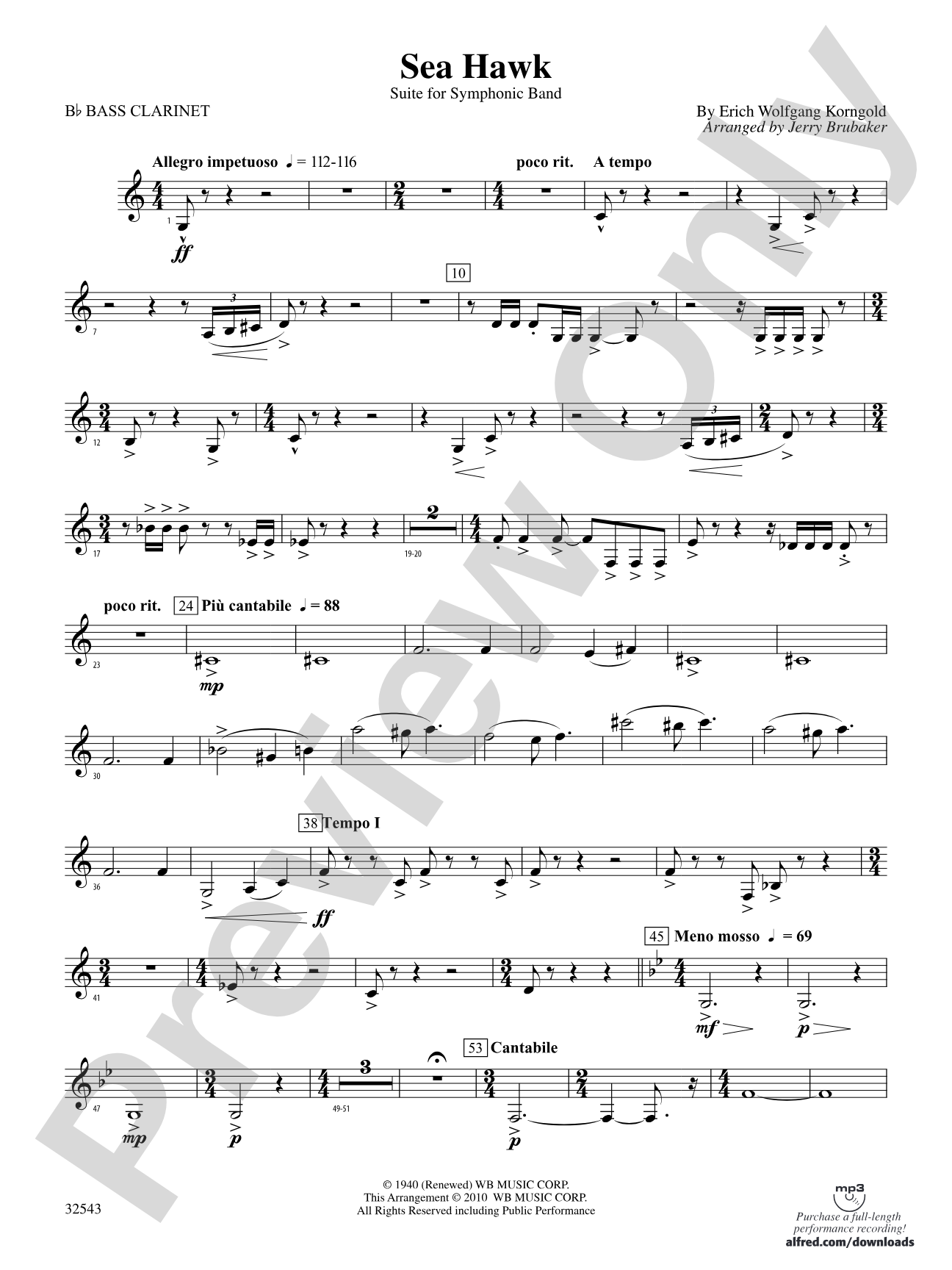 Sea Hawk: B-flat Bass Clarinet