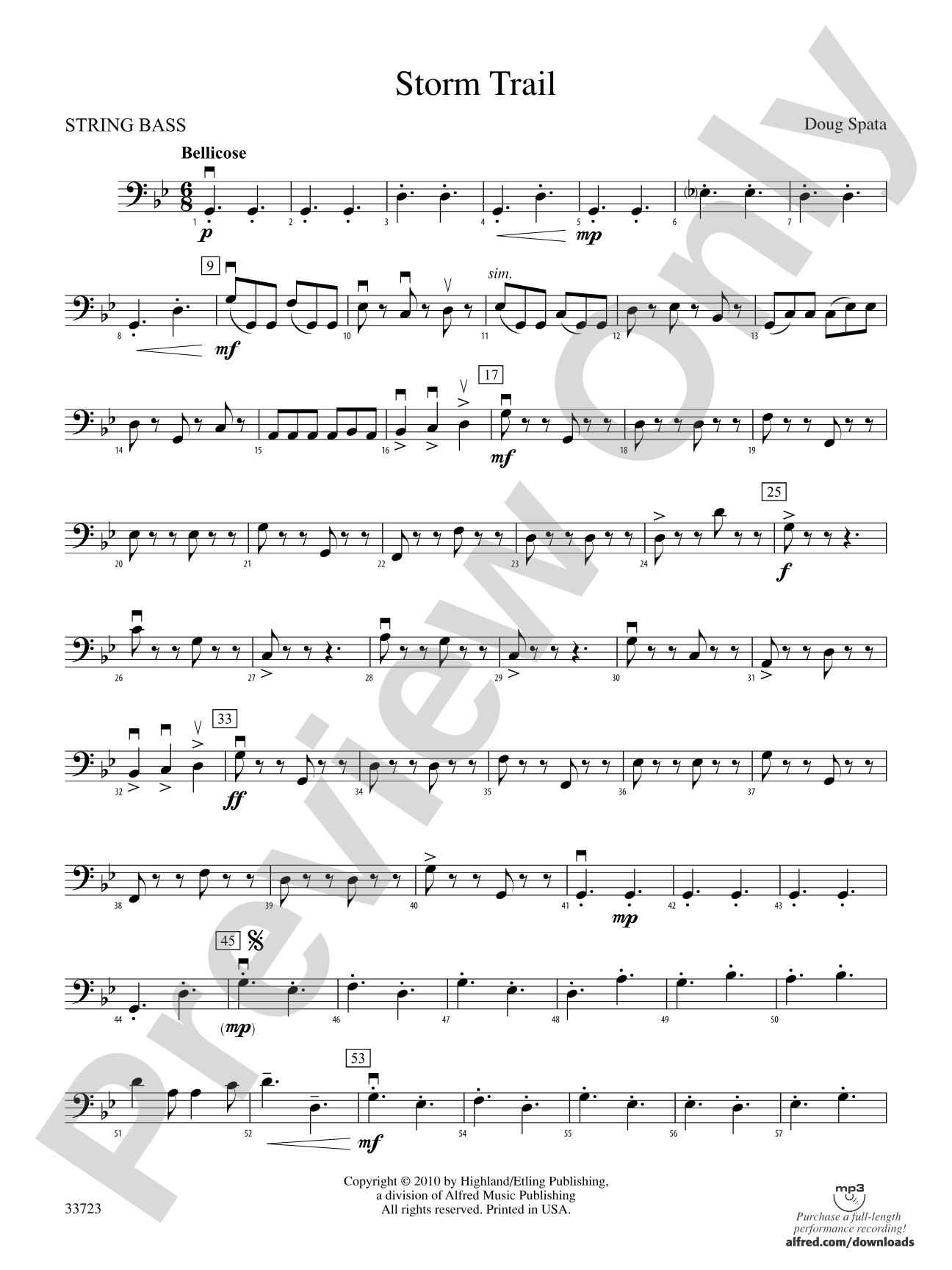 Storm Trail: String Bass
