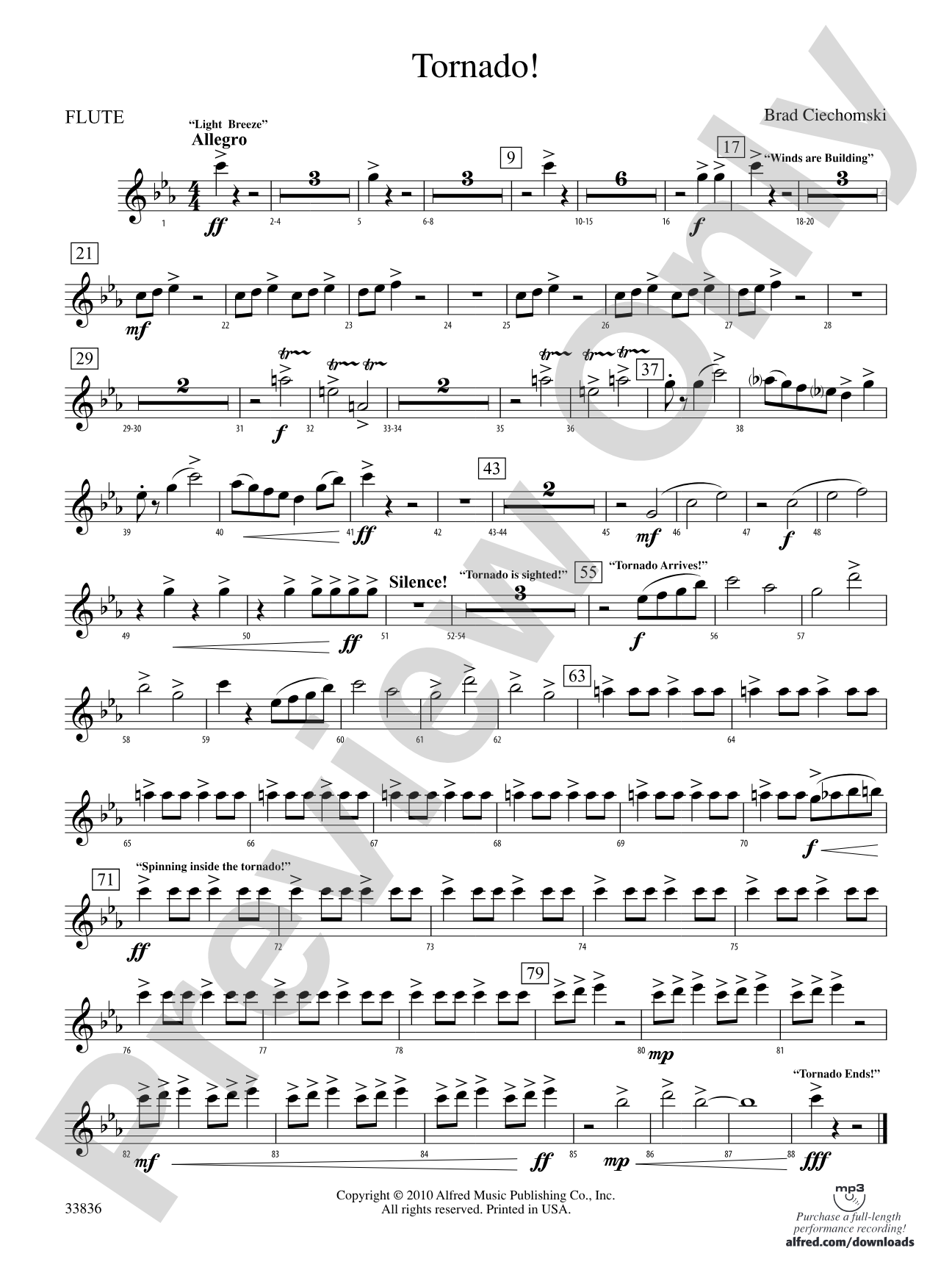 Tornado!: Flute