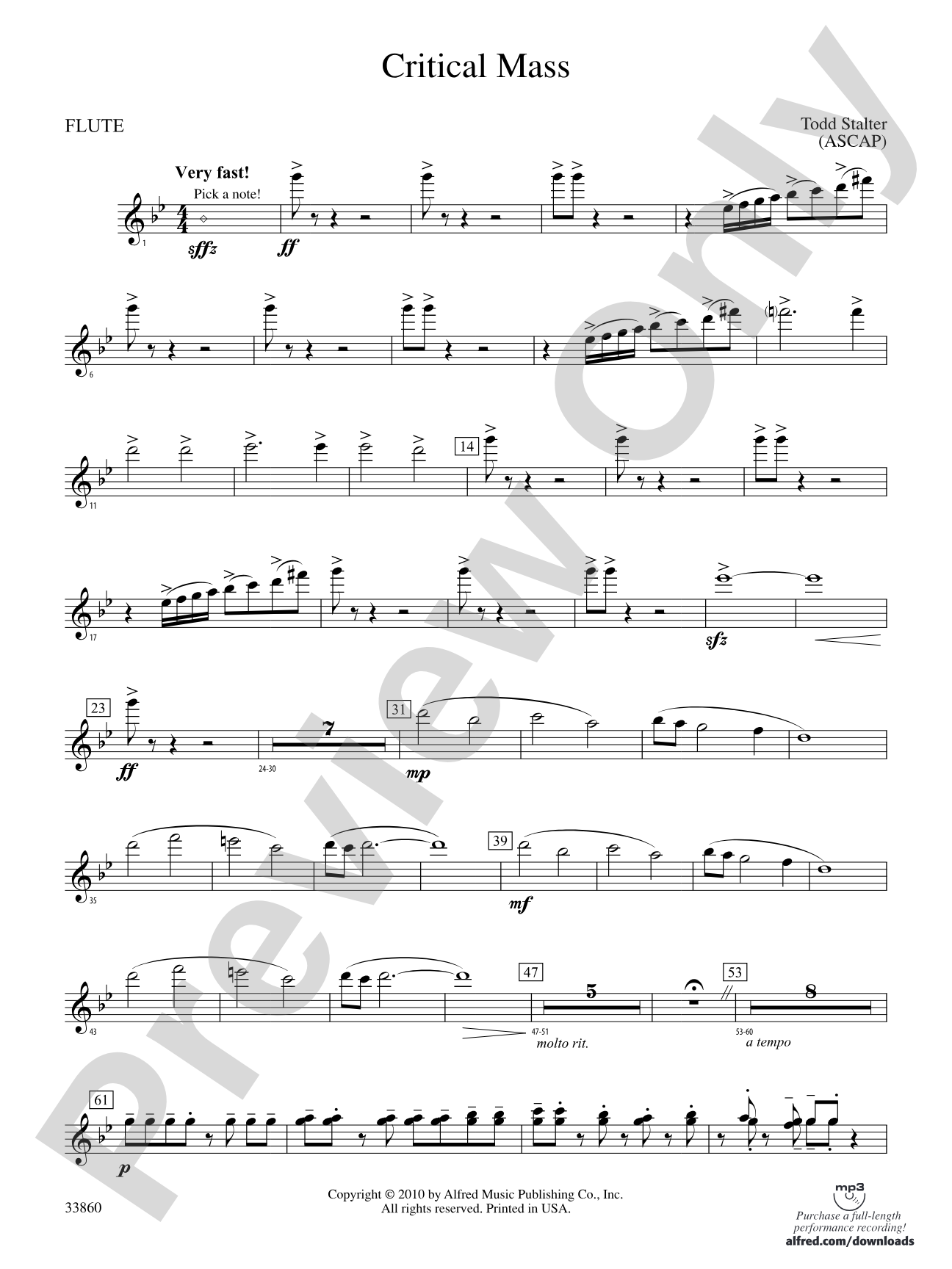 Critical Mass: Flute