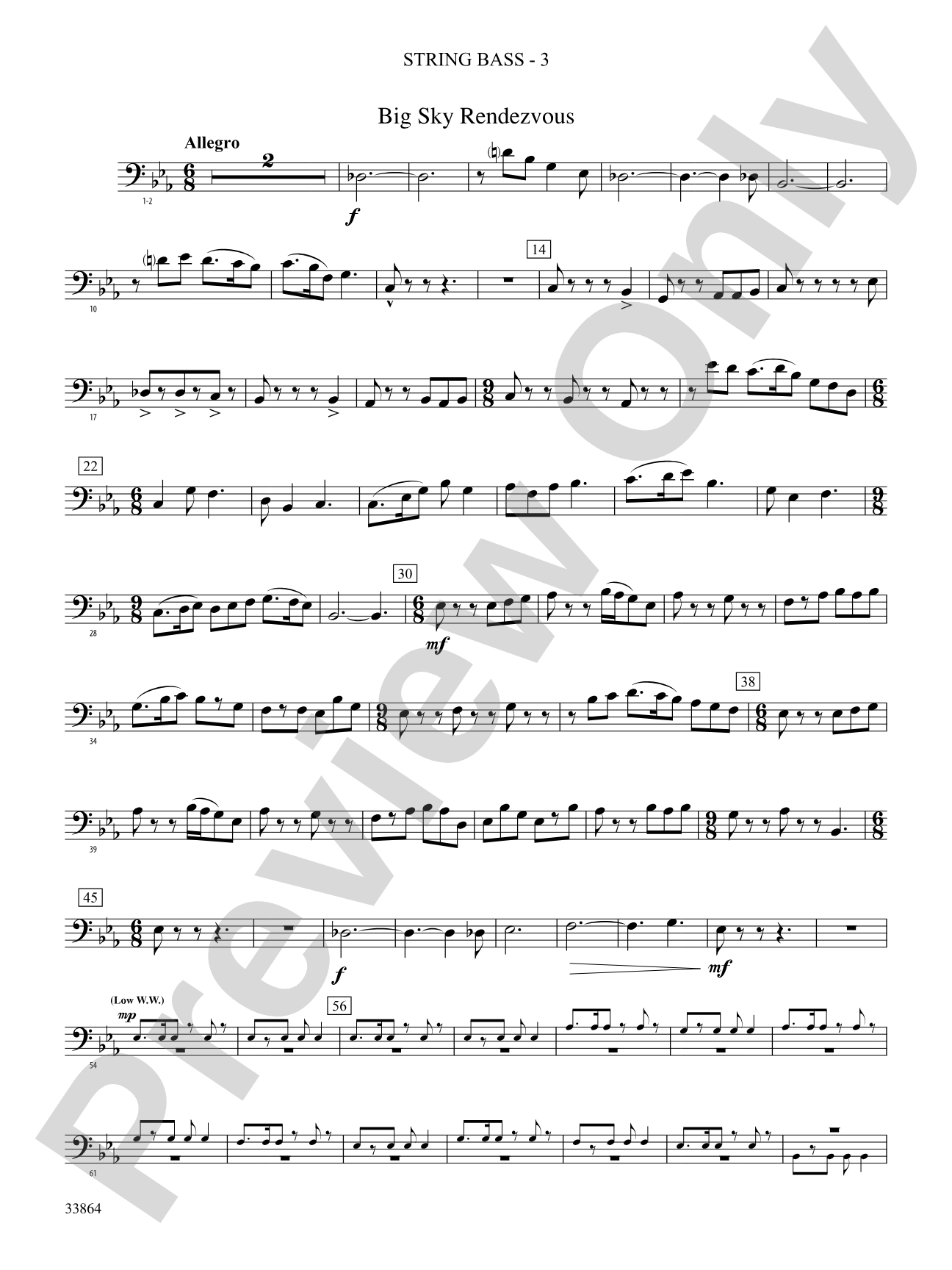 Montana Visions: (wp) String Bass