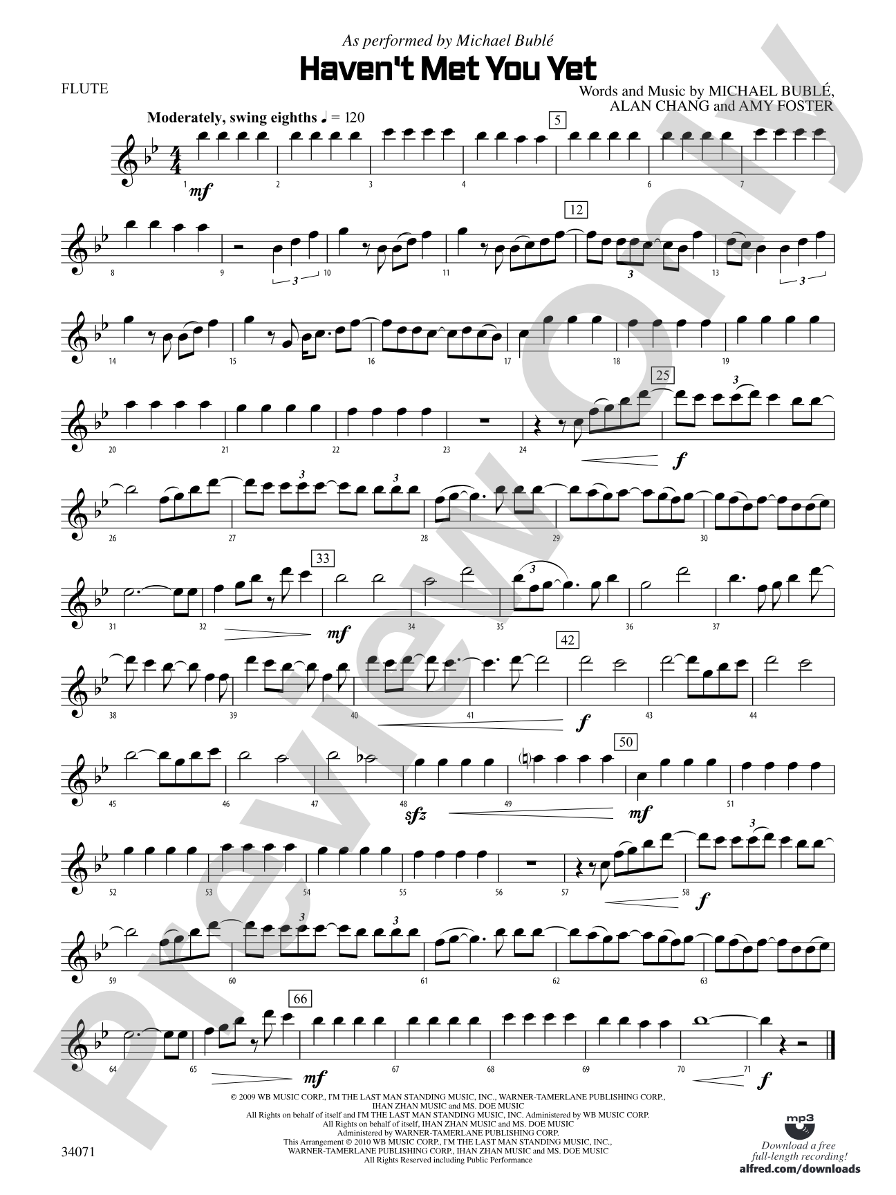 Haven't Met You Yet: Flute