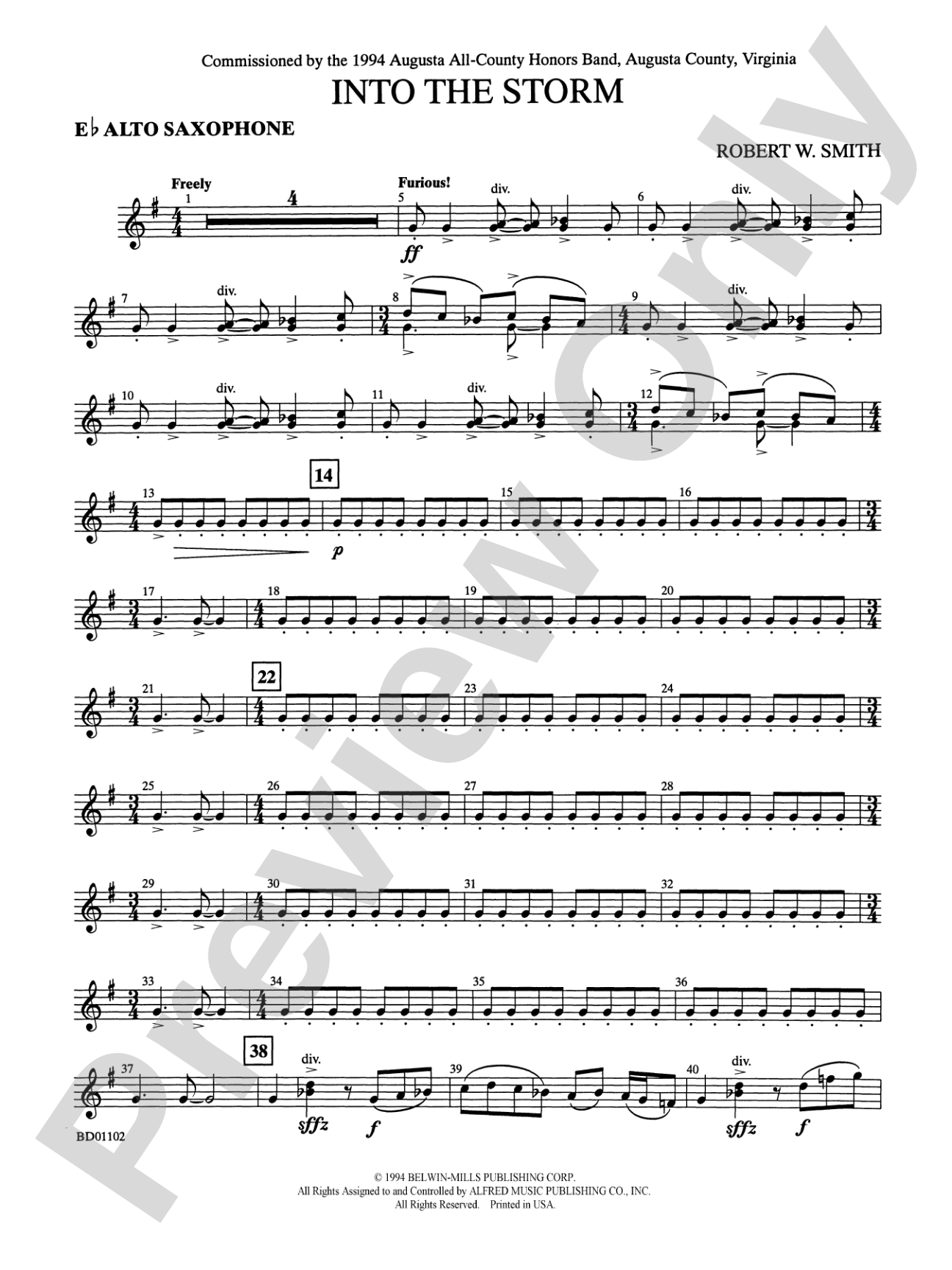 Into the Storm: E-flat Alto Saxophone