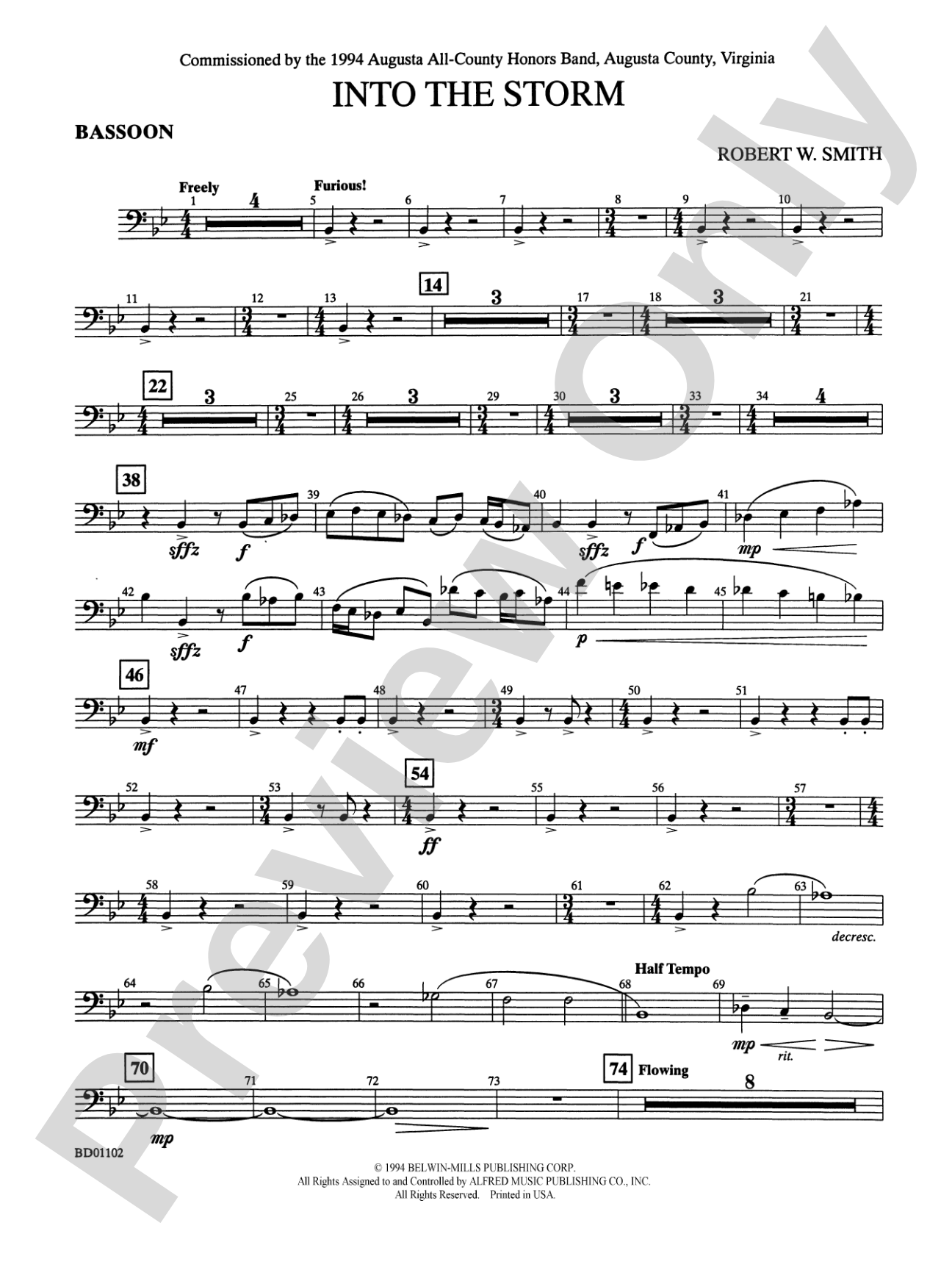 Into the Storm: Bassoon