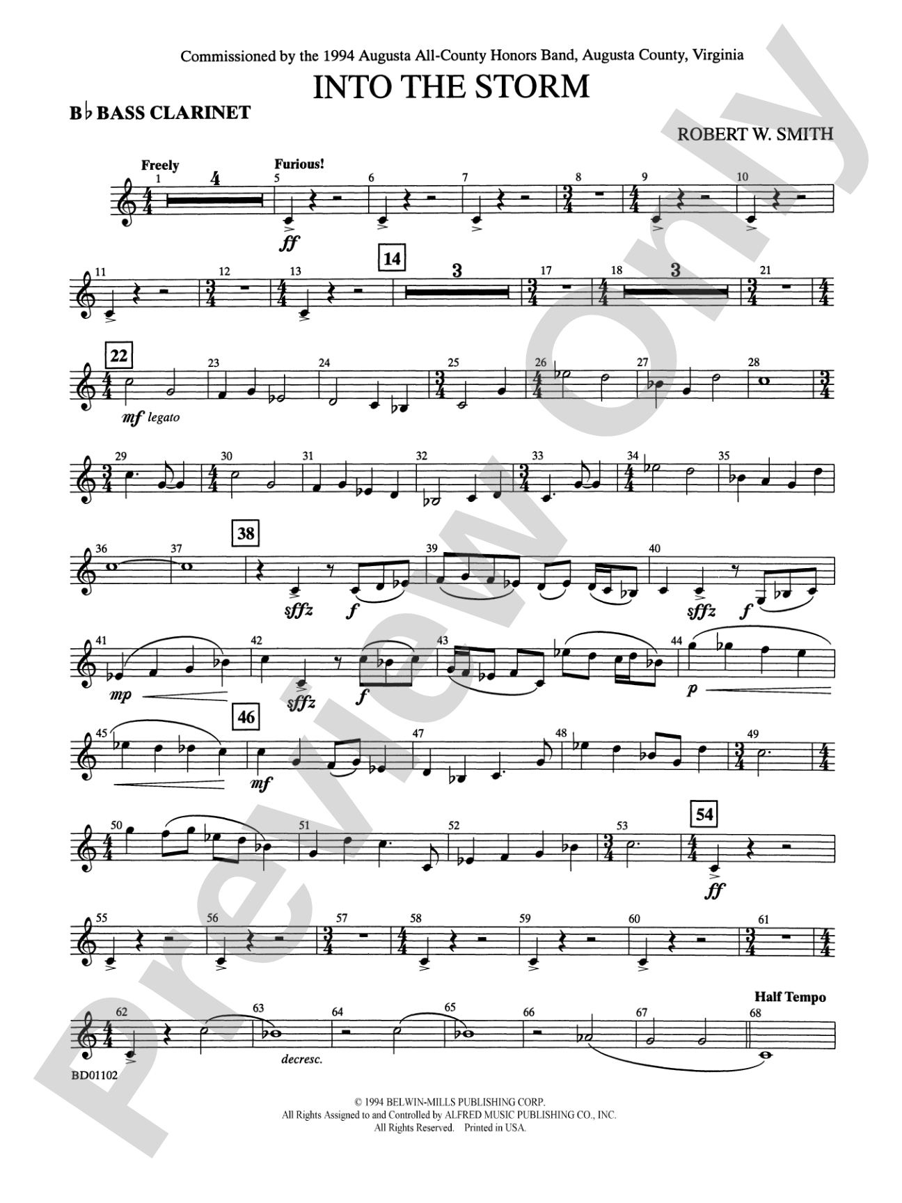 Into the Storm: B-flat Bass Clarinet