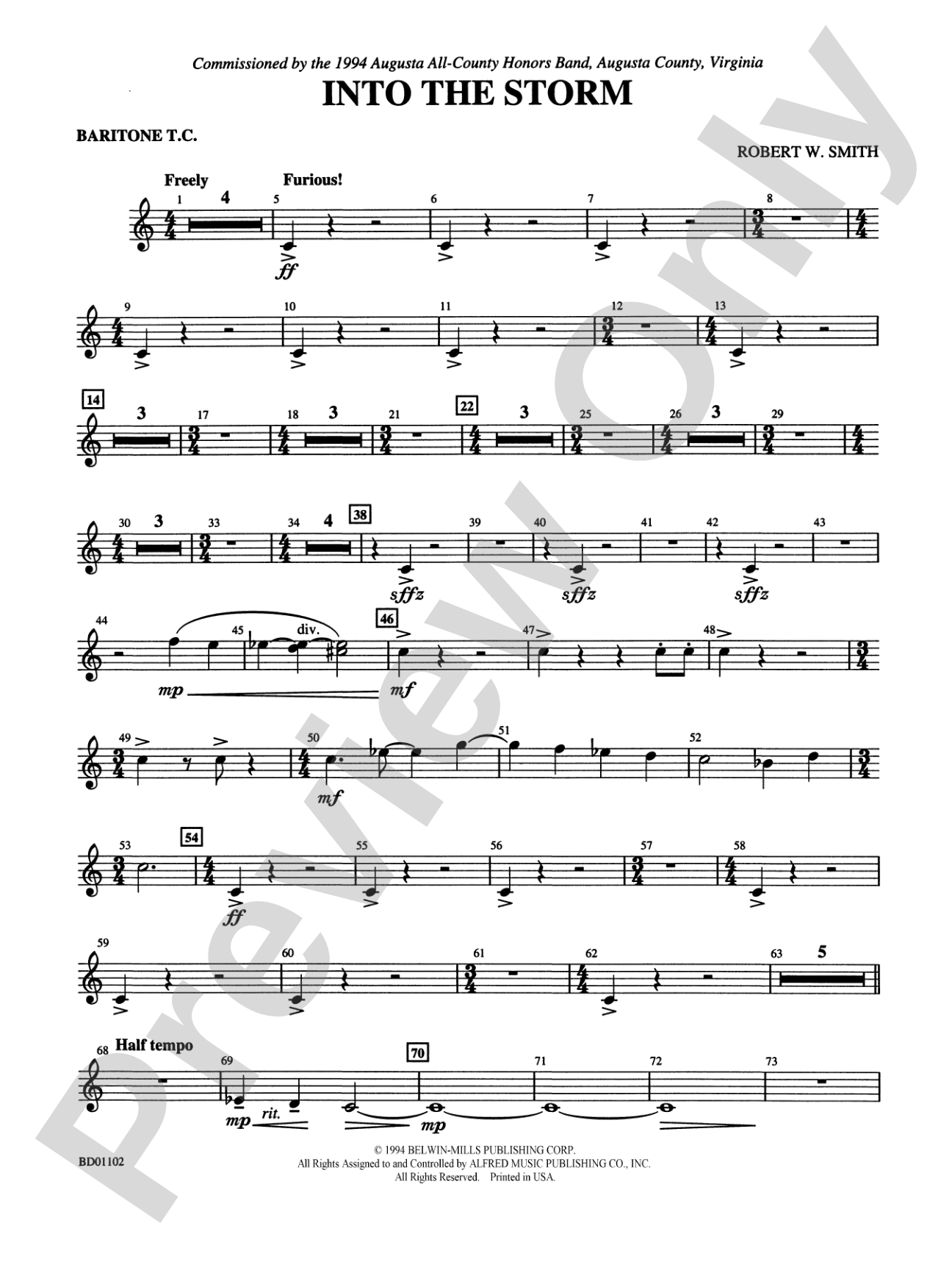 Into the Storm: Baritone T.C.