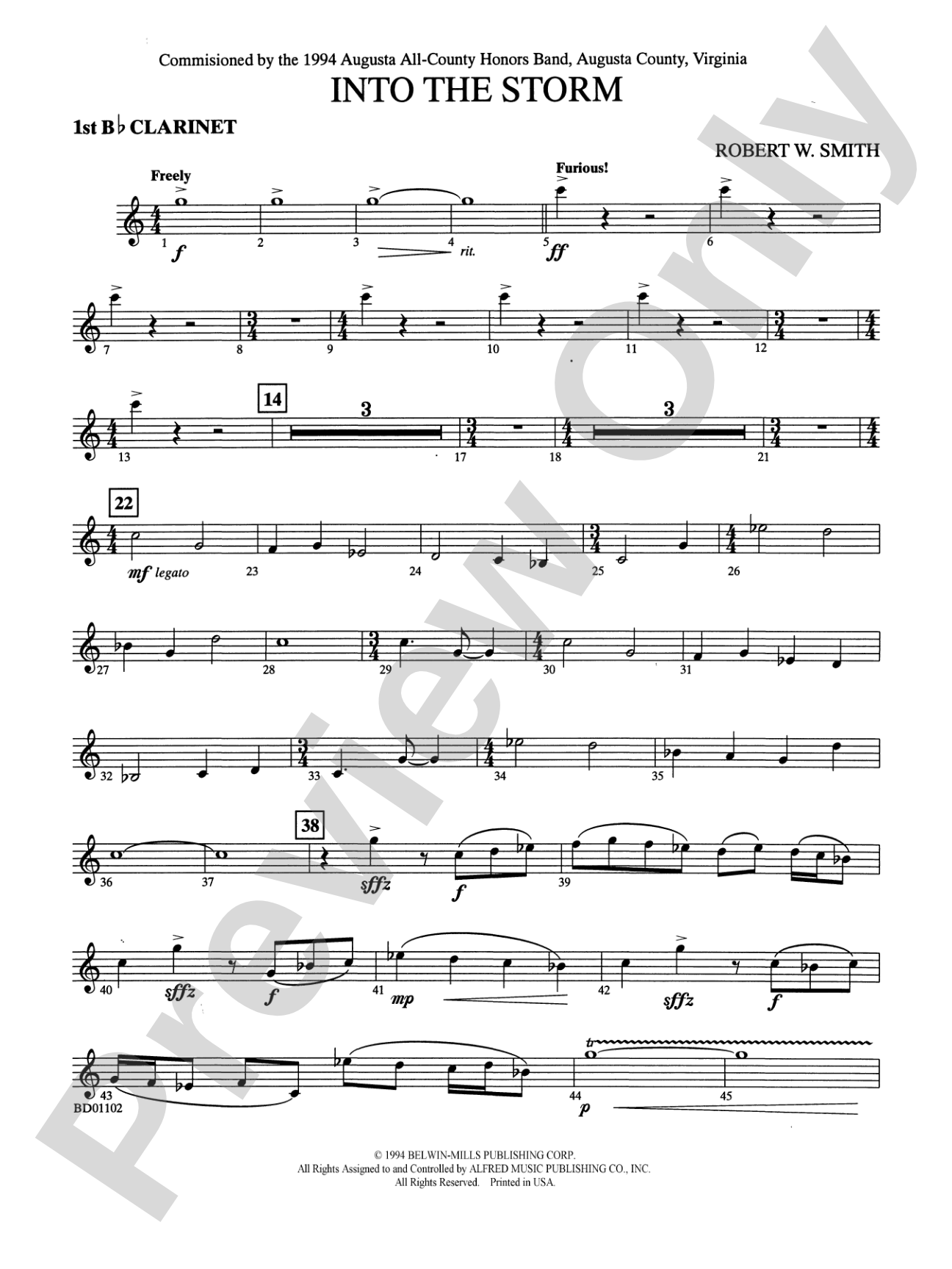 Into the Storm: 1st B-flat Clarinet
