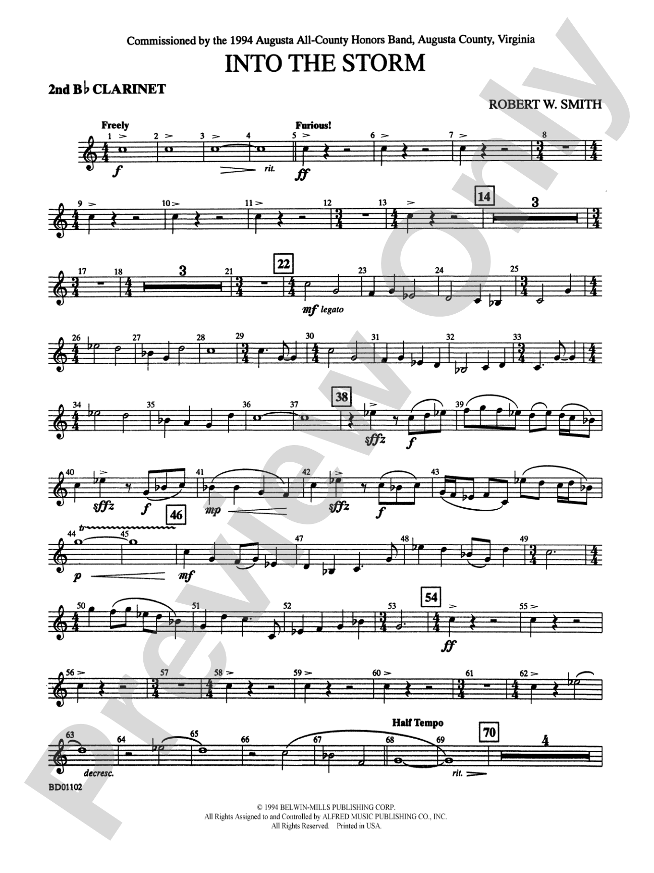Into the Storm: 2nd B-flat Clarinet