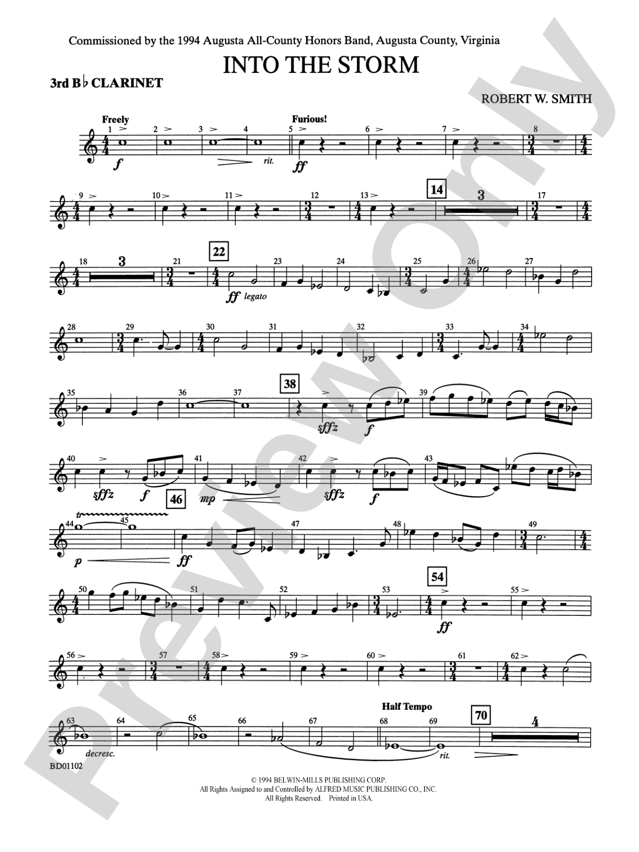 Into the Storm: 3rd B-flat Clarinet