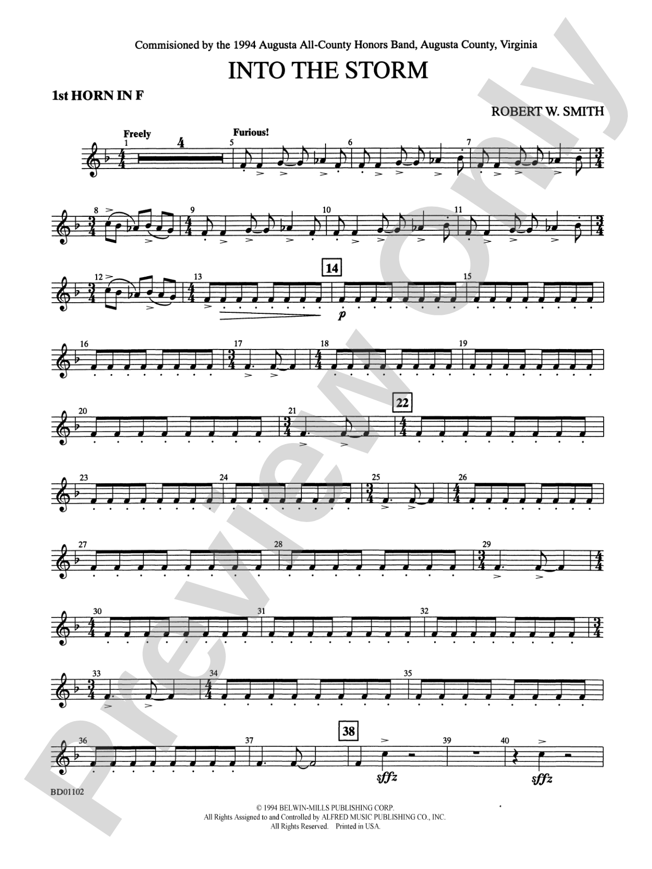 Into the Storm: 1st F Horn