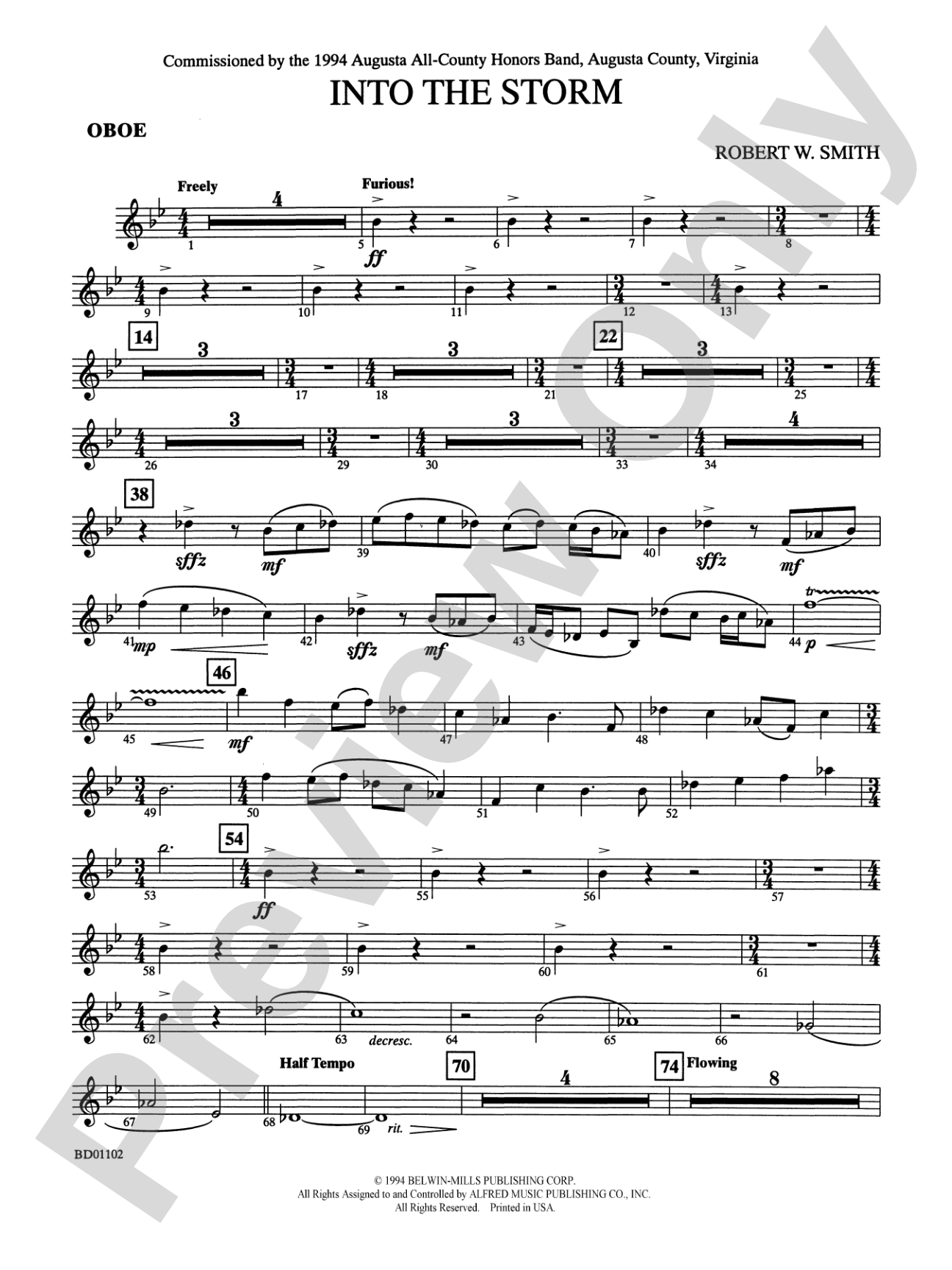 Into the Storm: Oboe