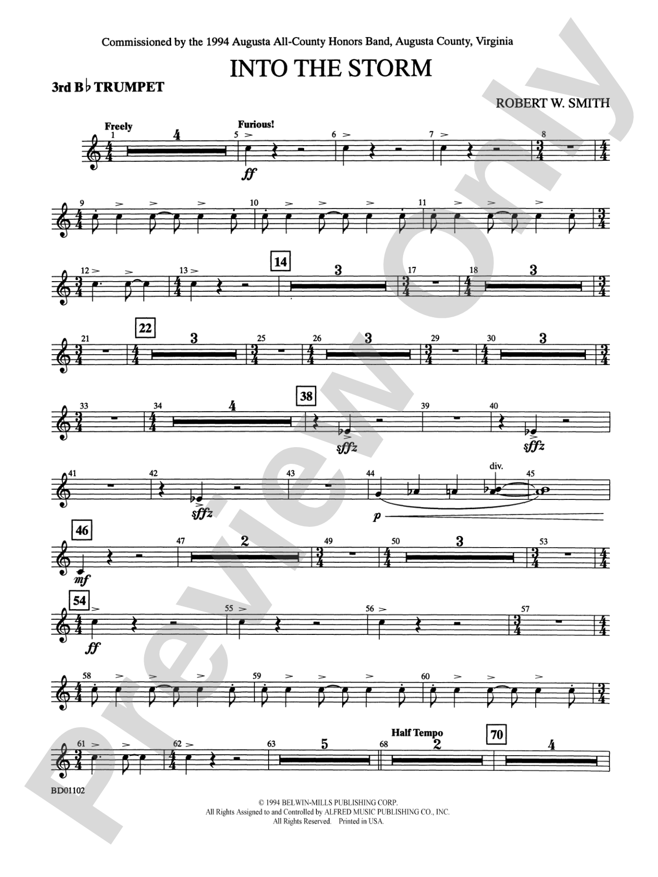 Into the Storm: 3rd B-flat Trumpet