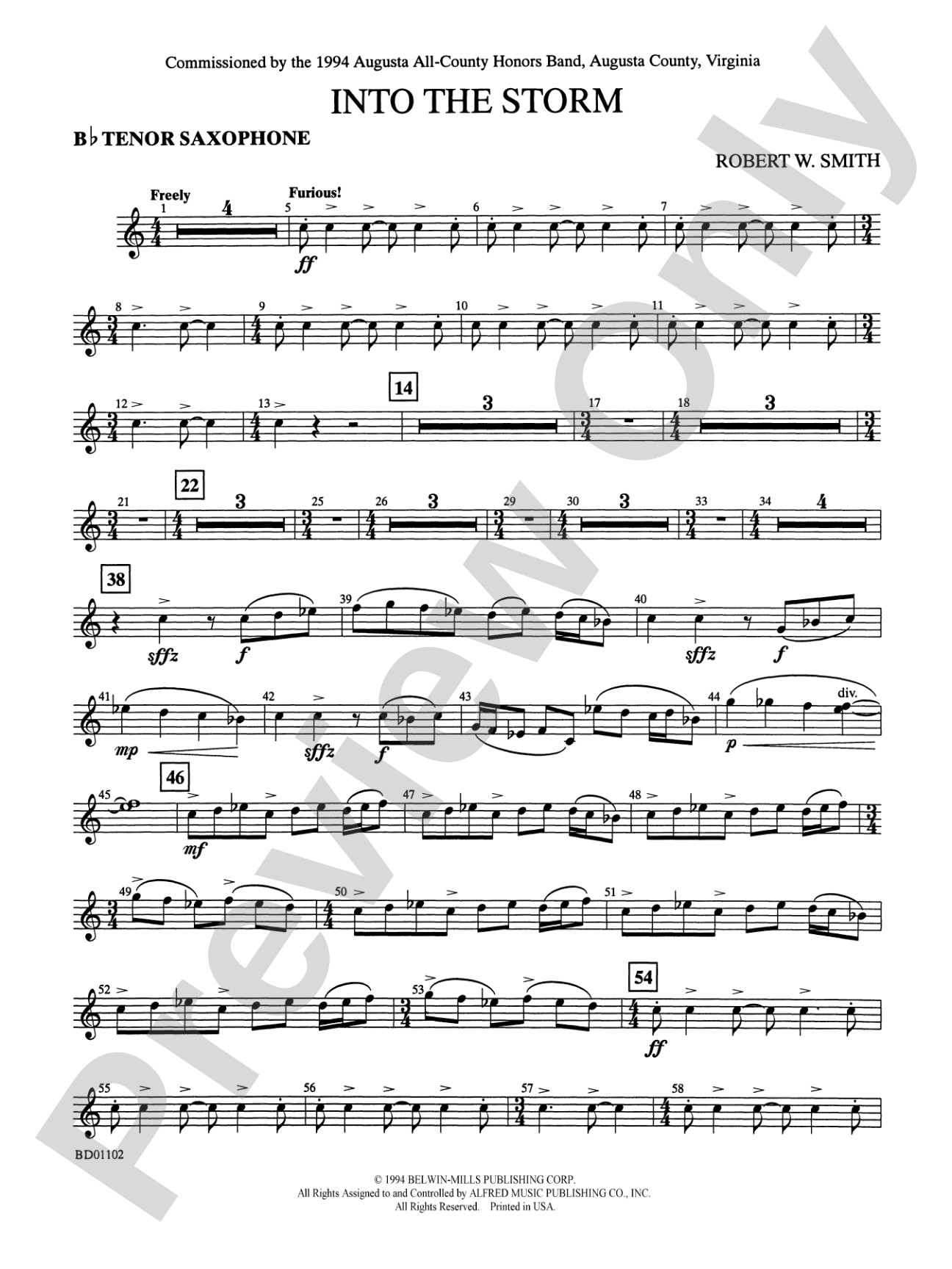 Into the Storm: B-flat Tenor Saxophone