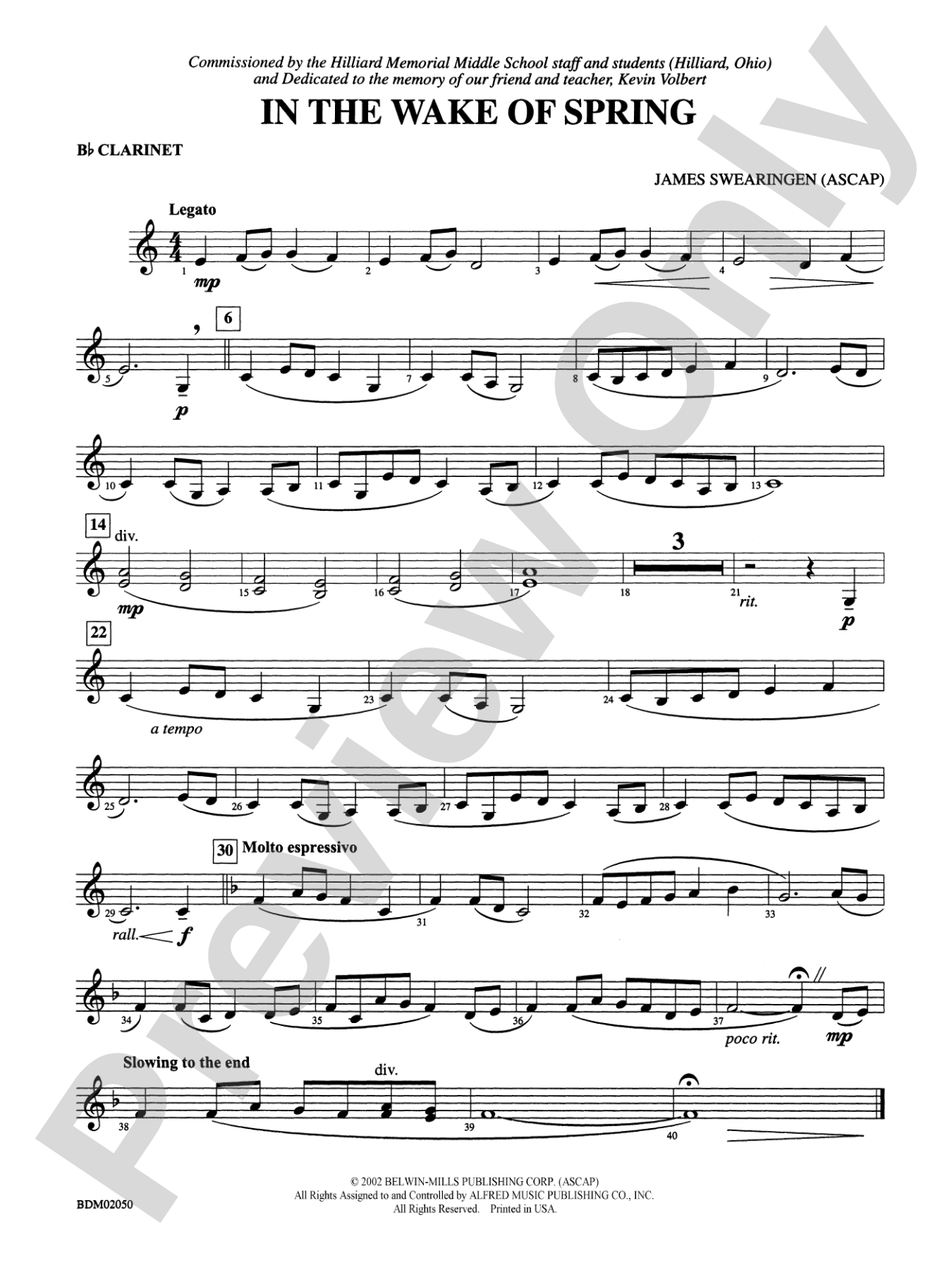 In the Wake of Spring: 1st B-flat Clarinet