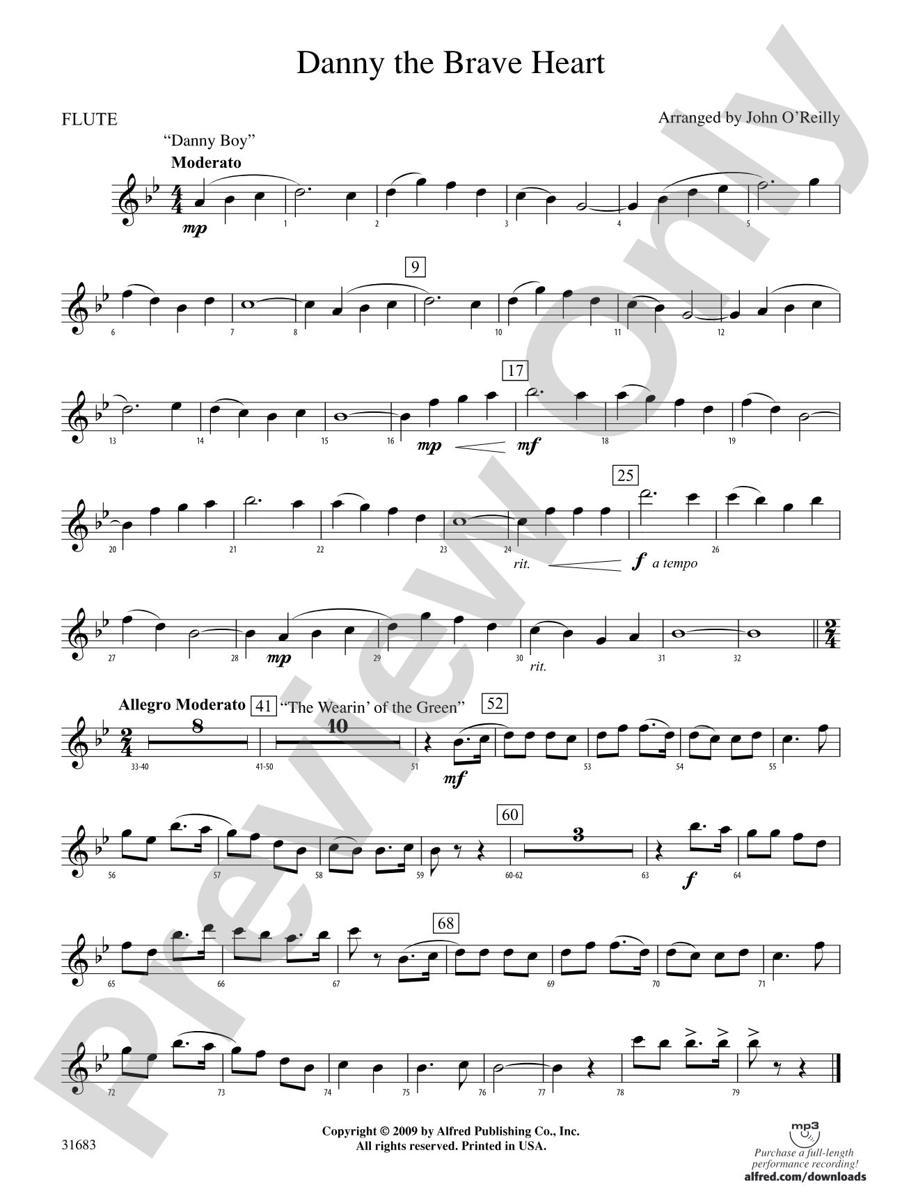 Danny the Brave Heart: Flute