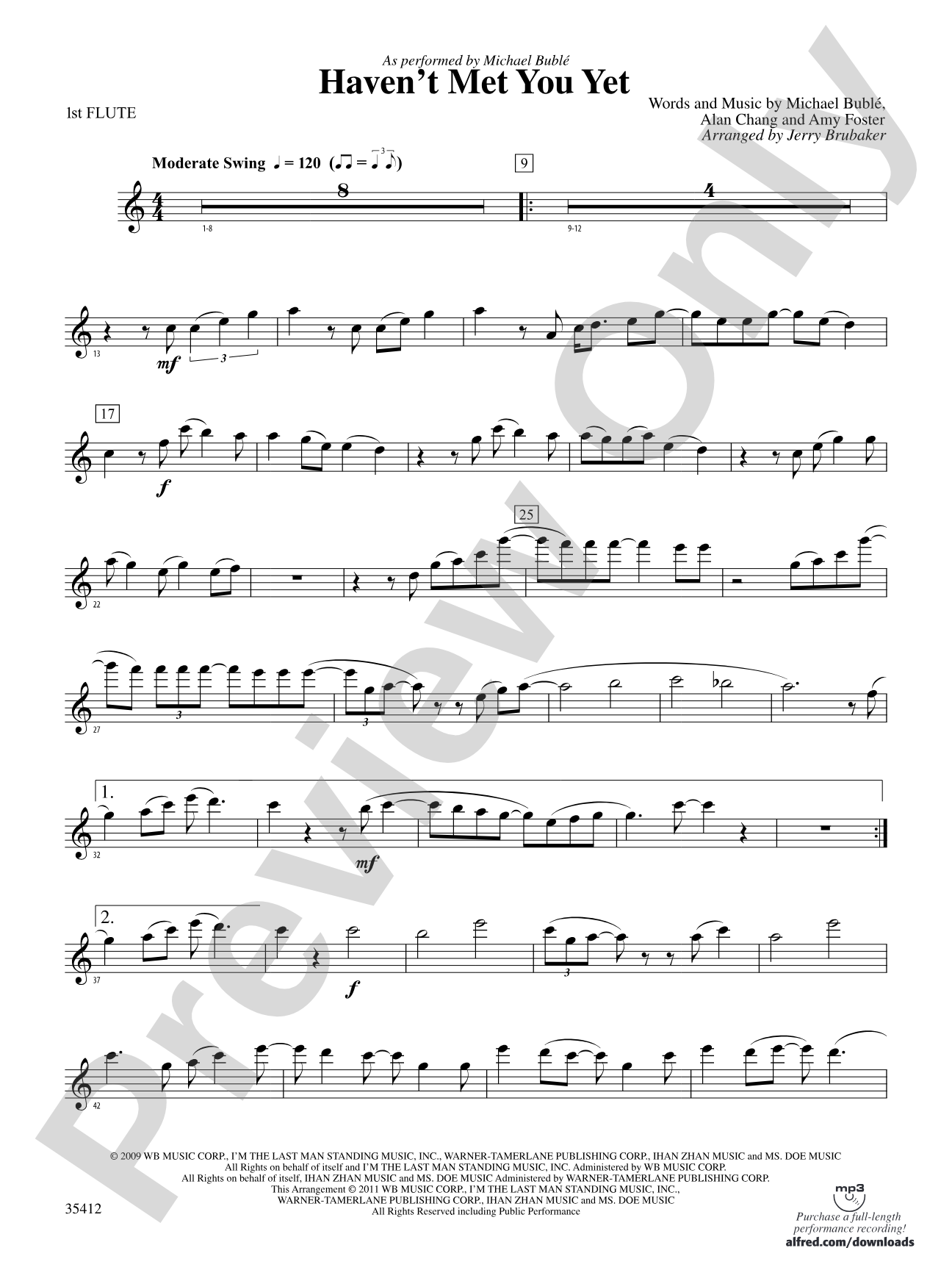 Haven't Met You Yet: Flute