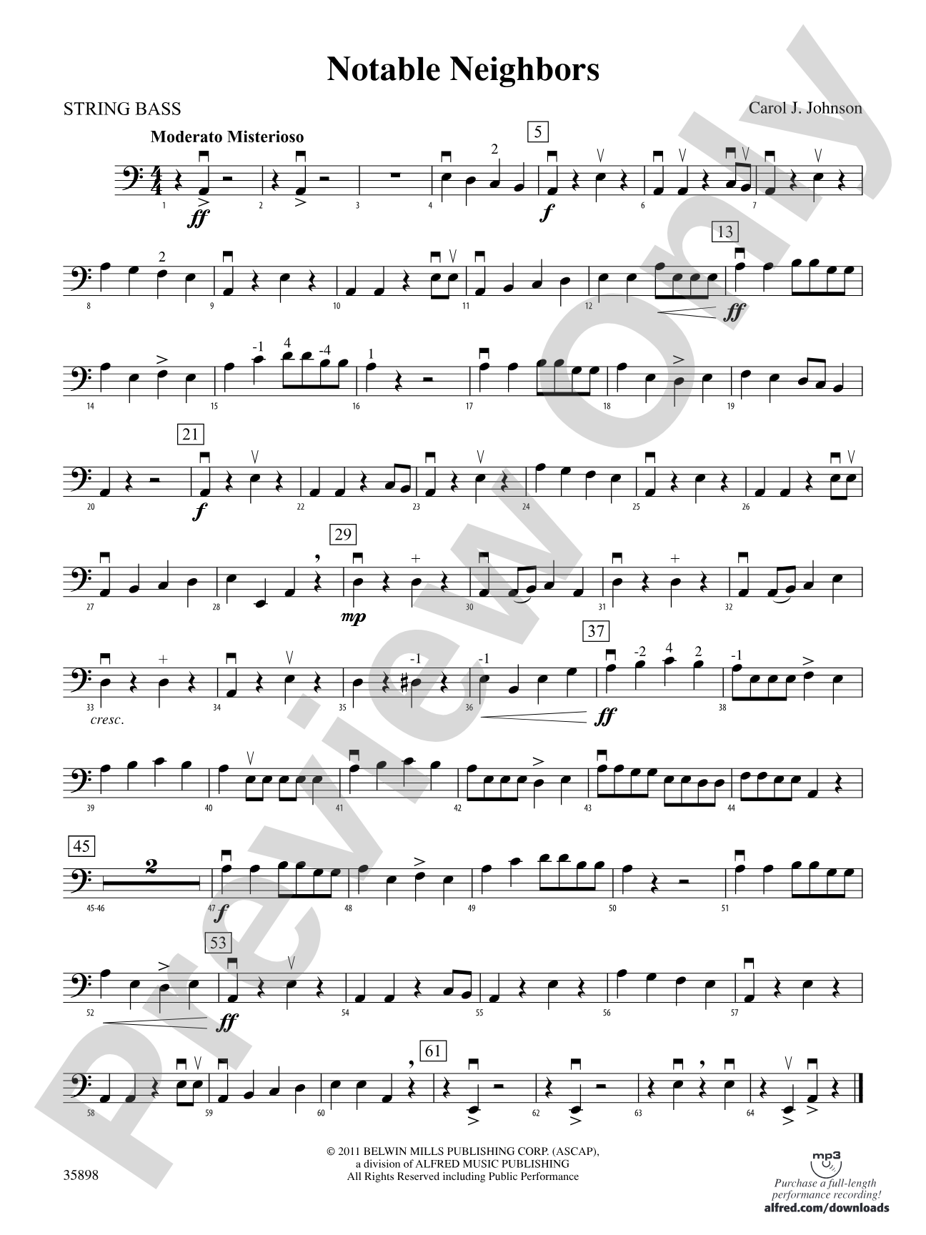 Notable Neighbors: String Bass
