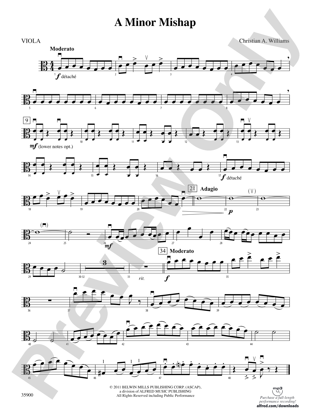 A Minor Mishap: Viola