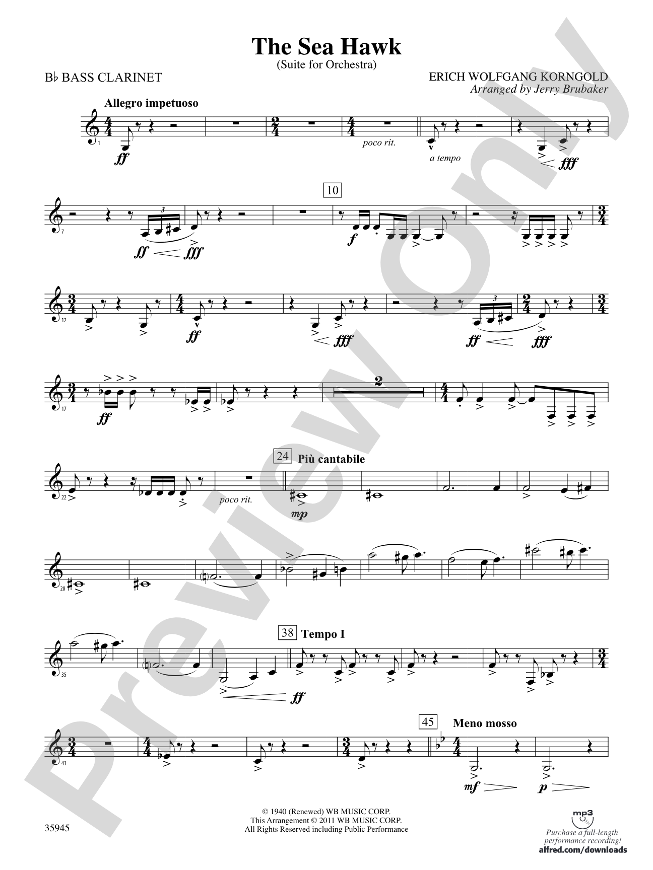 The Sea Hawk: B-flat Bass Clarinet