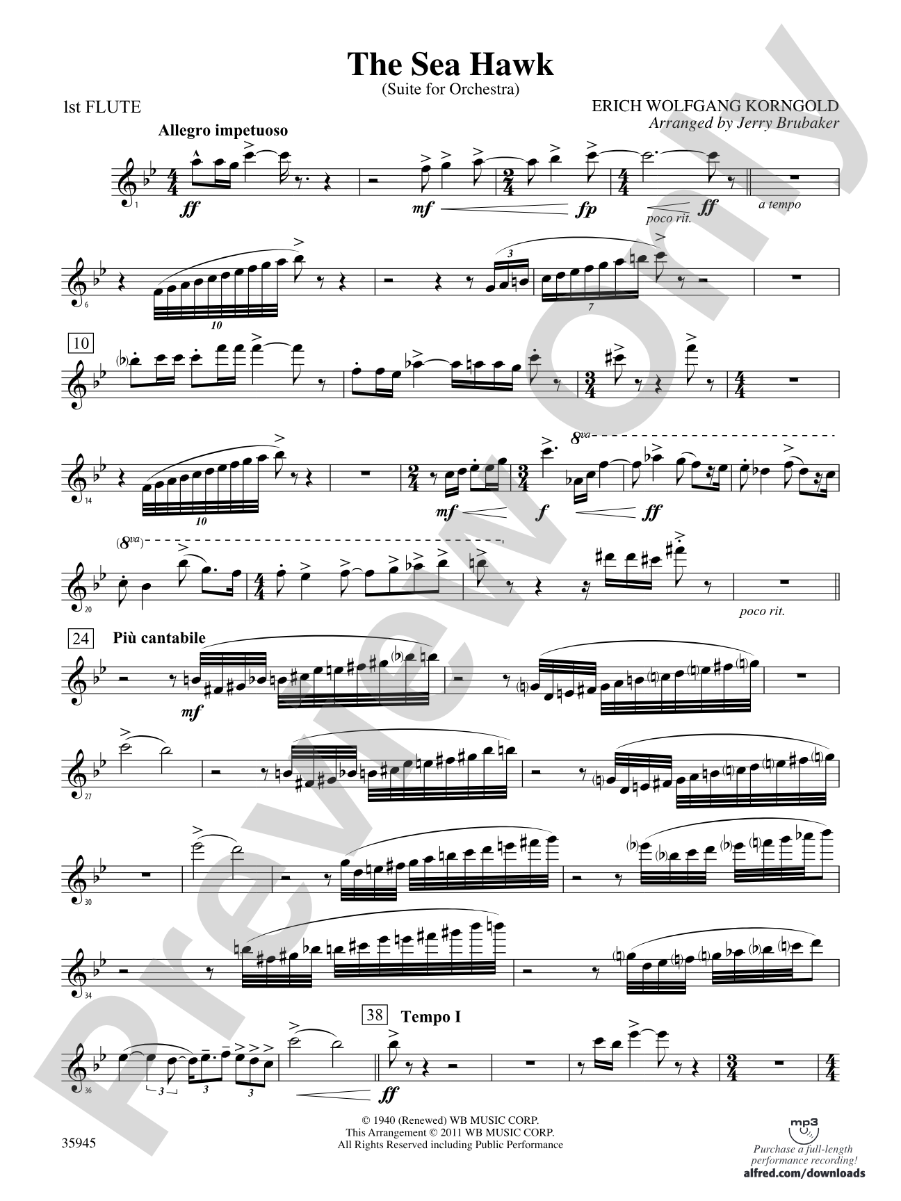 The Sea Hawk: Flute