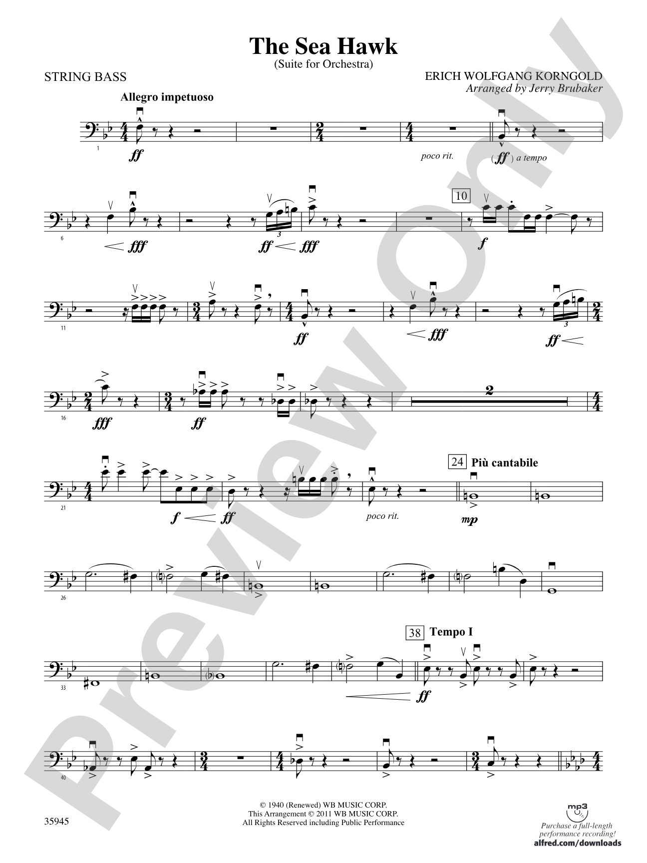 The Sea Hawk: String Bass