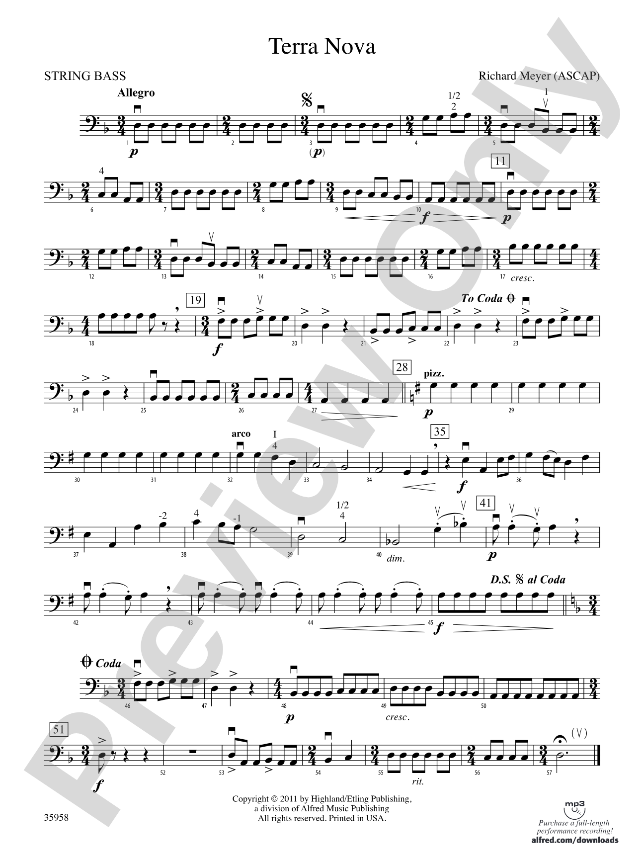 Terra Nova: String Bass